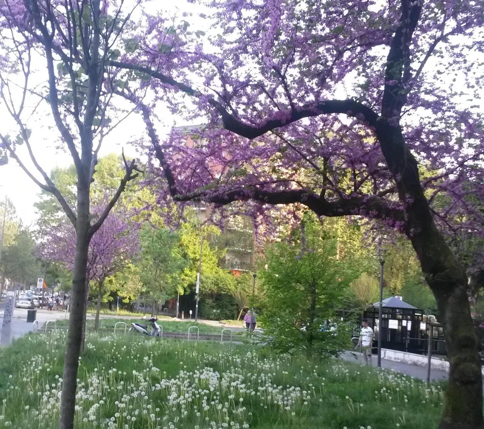 Facade/entrance in Bed & Breakfast A San Siro 75