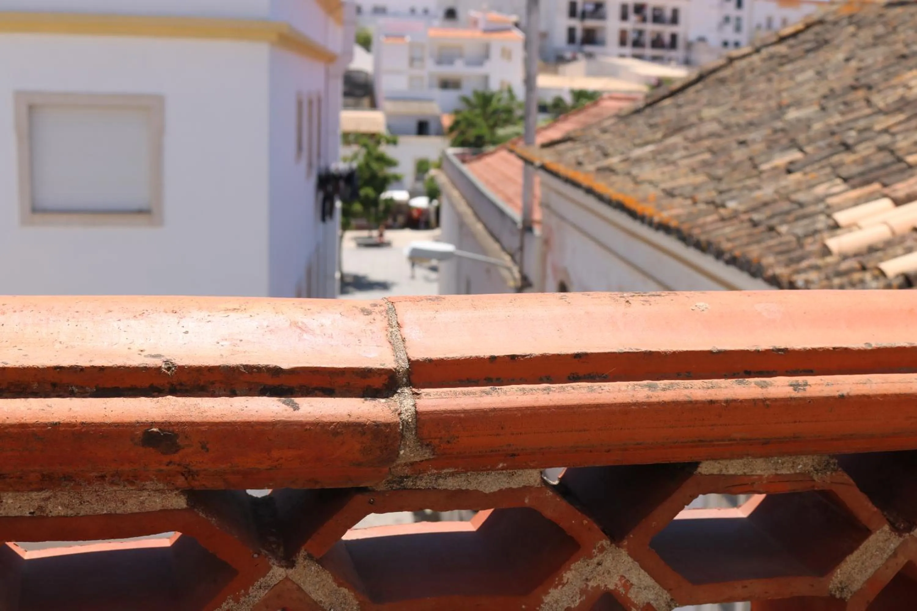 Spring in Casa Malpique