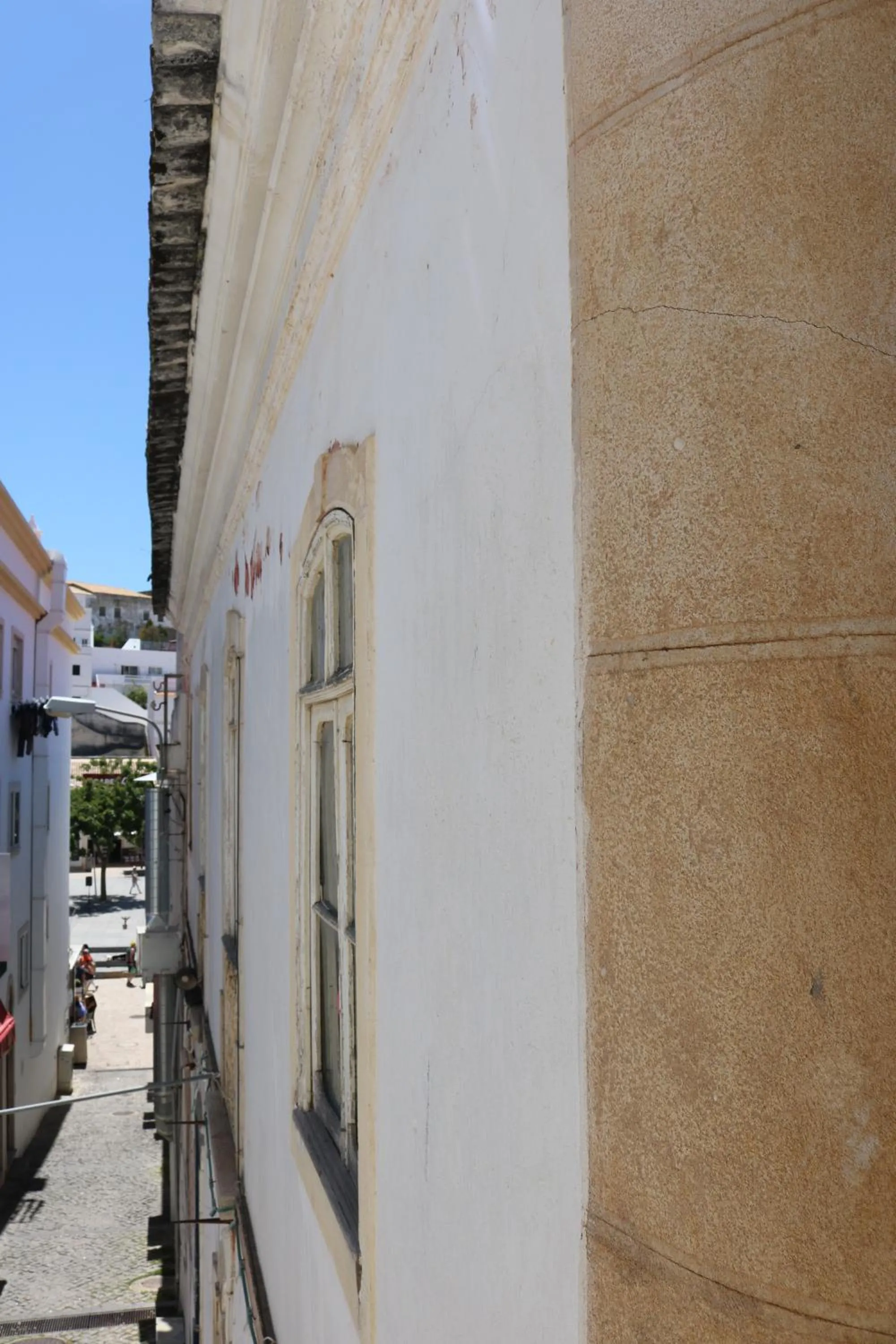 Spring in Casa Malpique