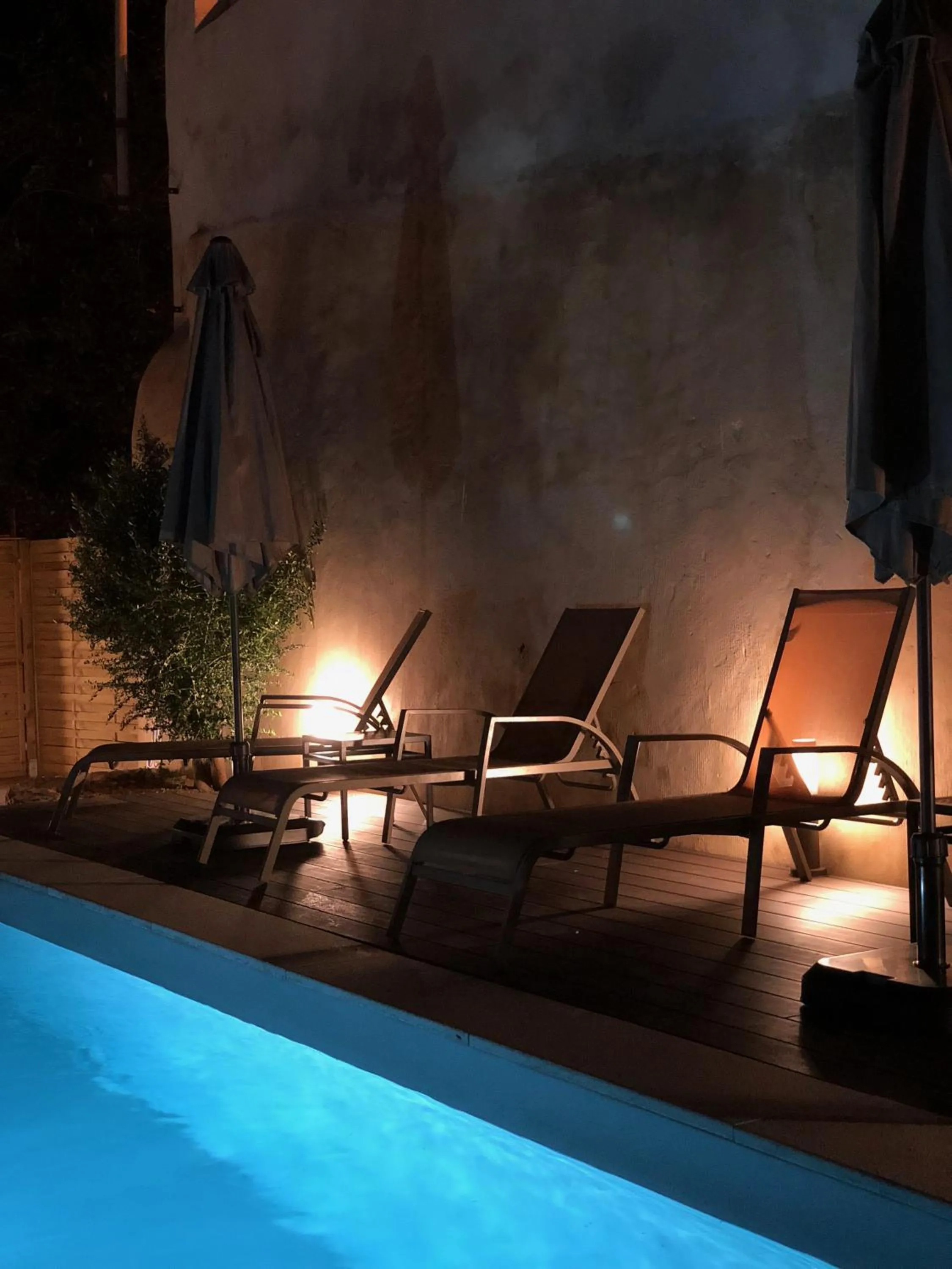 Garden in Casa Malpique