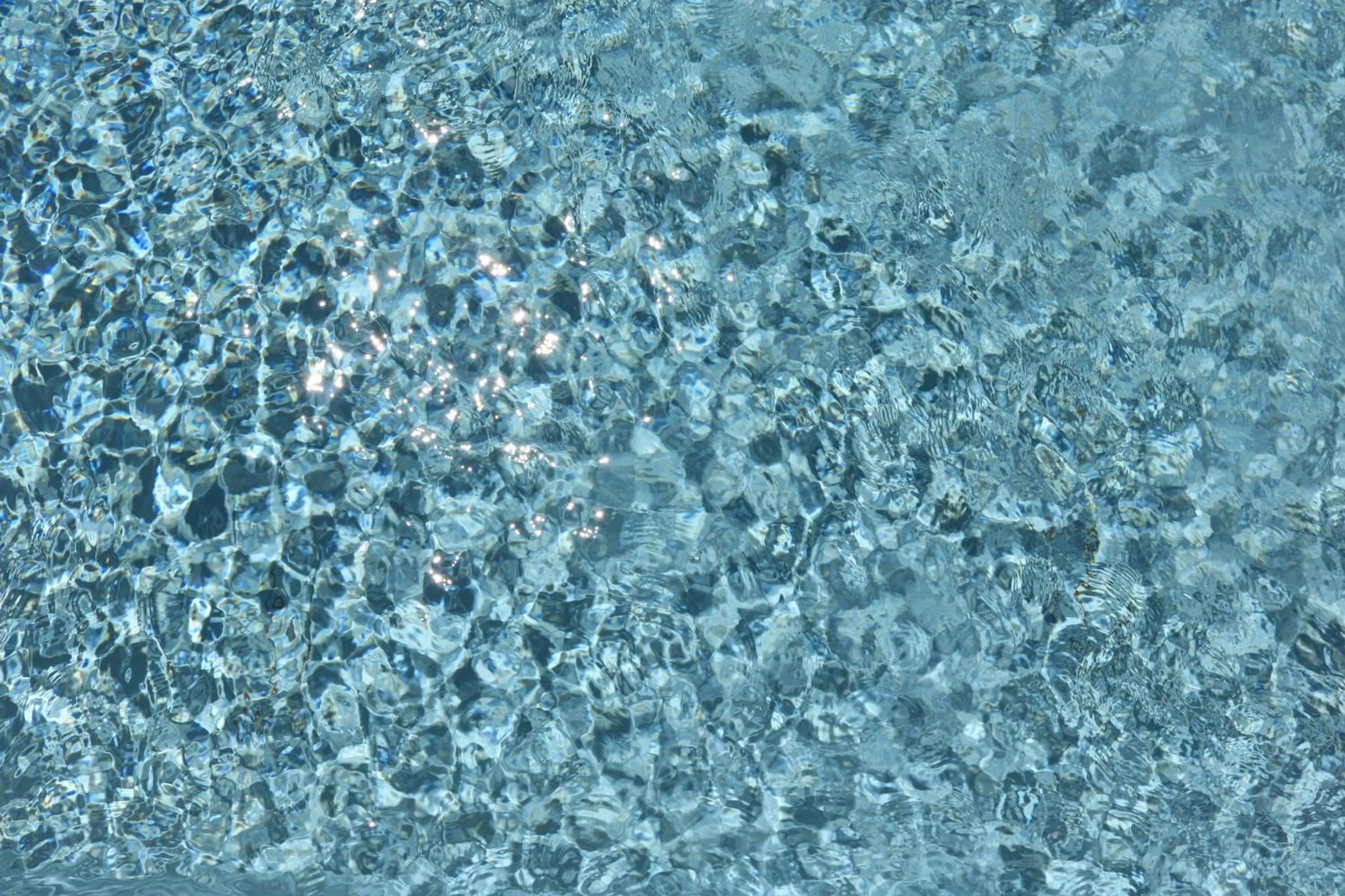 Spring in Casa Malpique