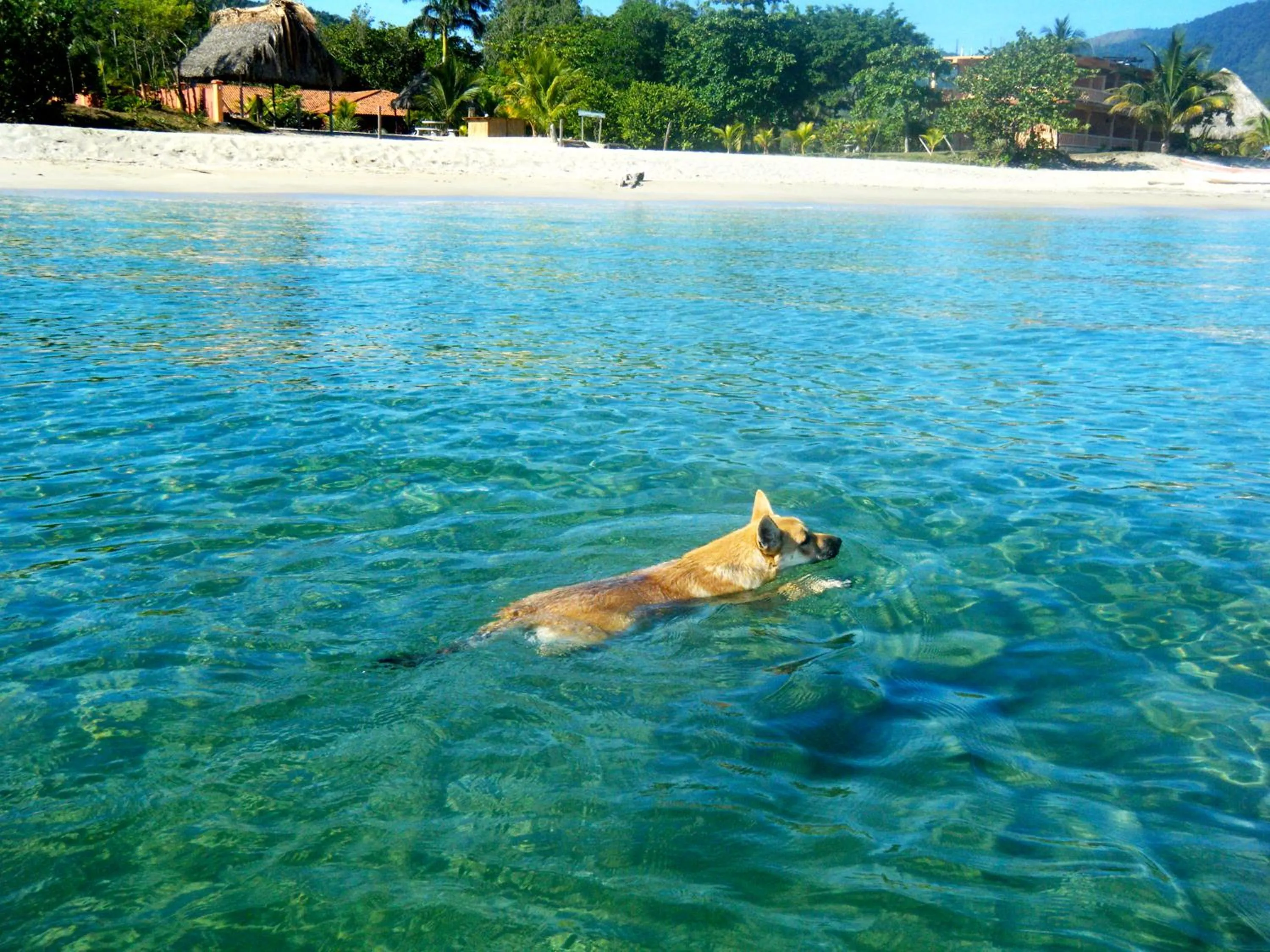 Tranquility Bay Beach Retreat