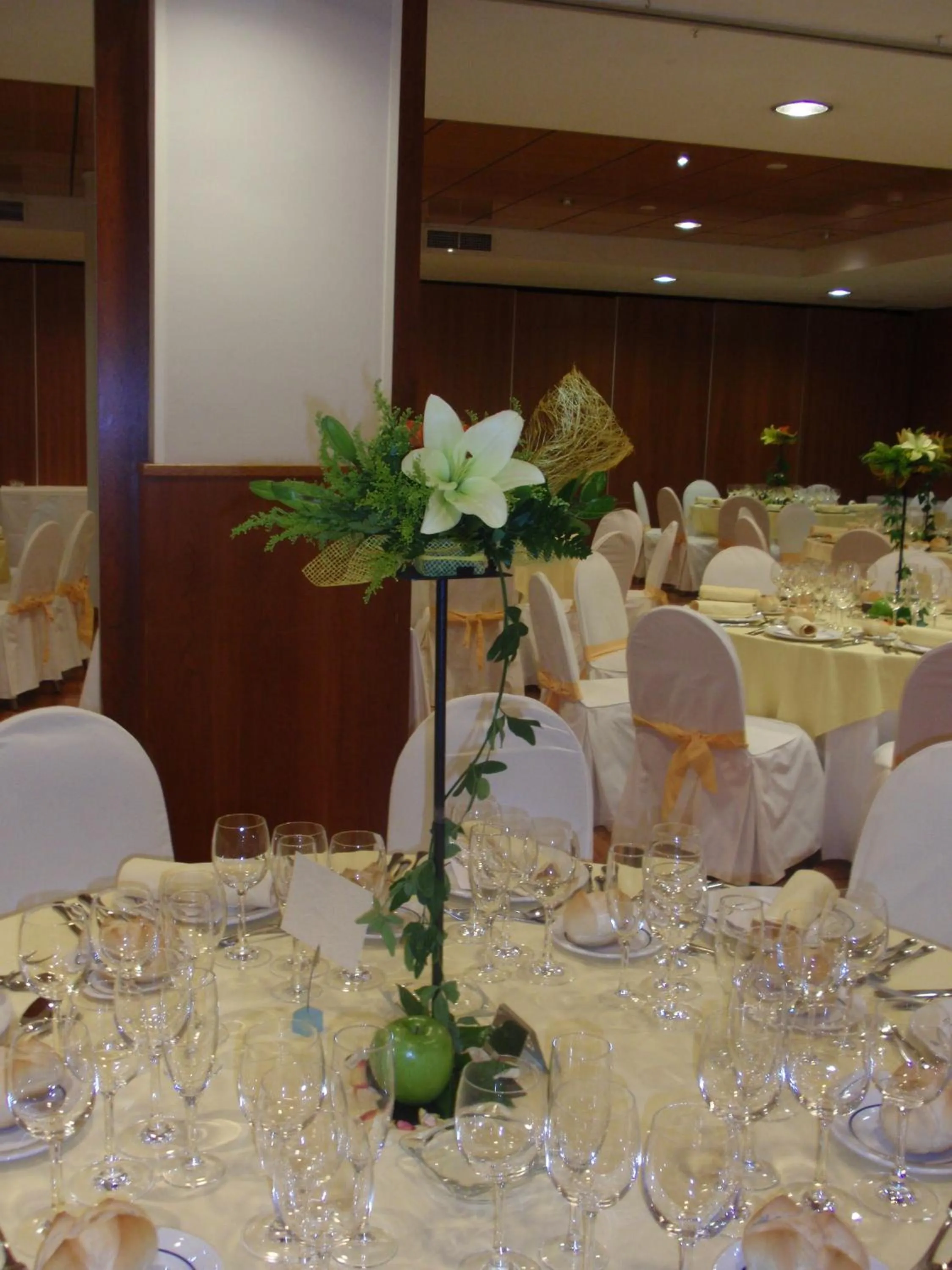 Banquet/Function facilities in Extremadura Hotel