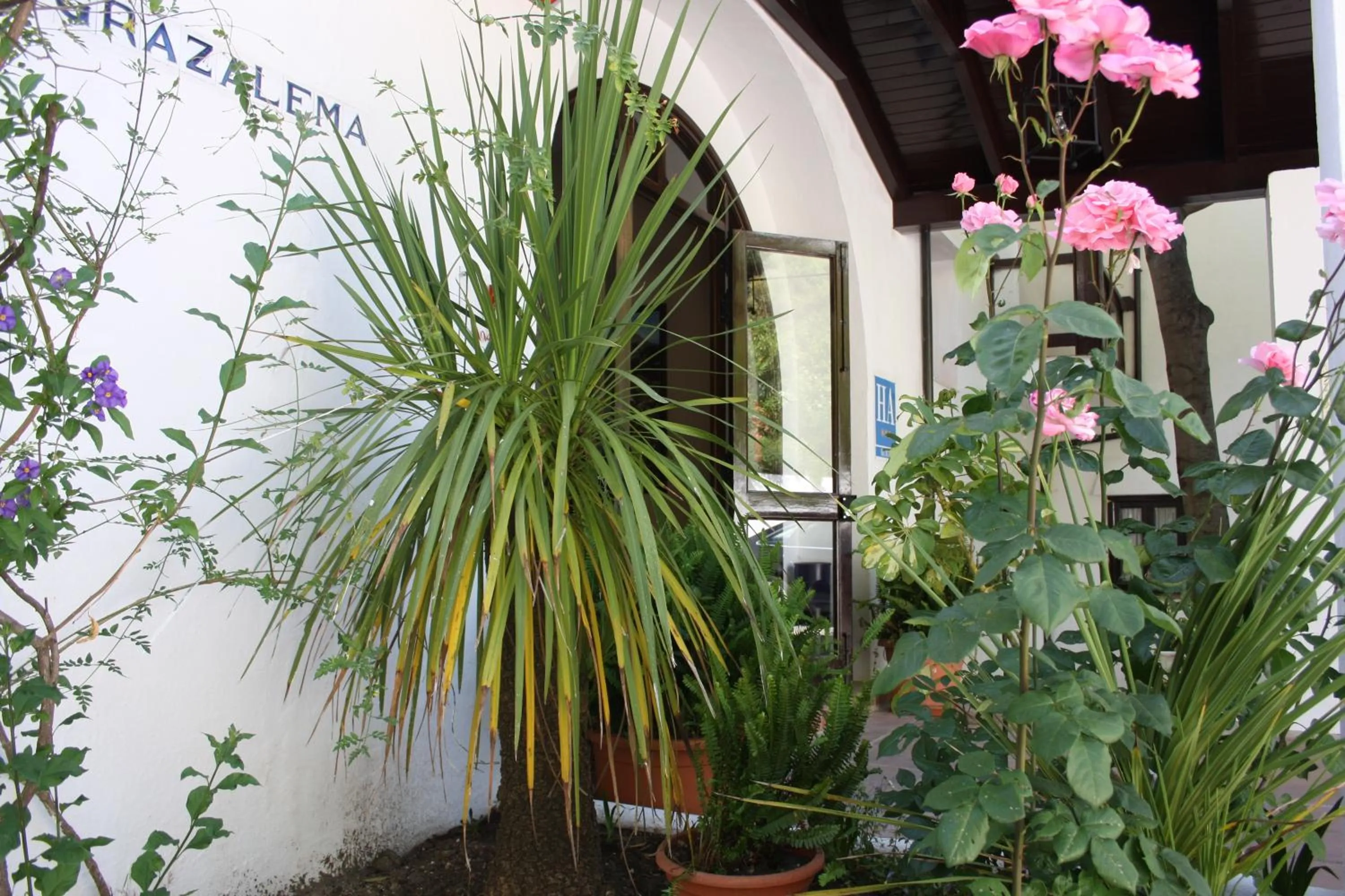 Facade/entrance in Villa Turística de Grazalema