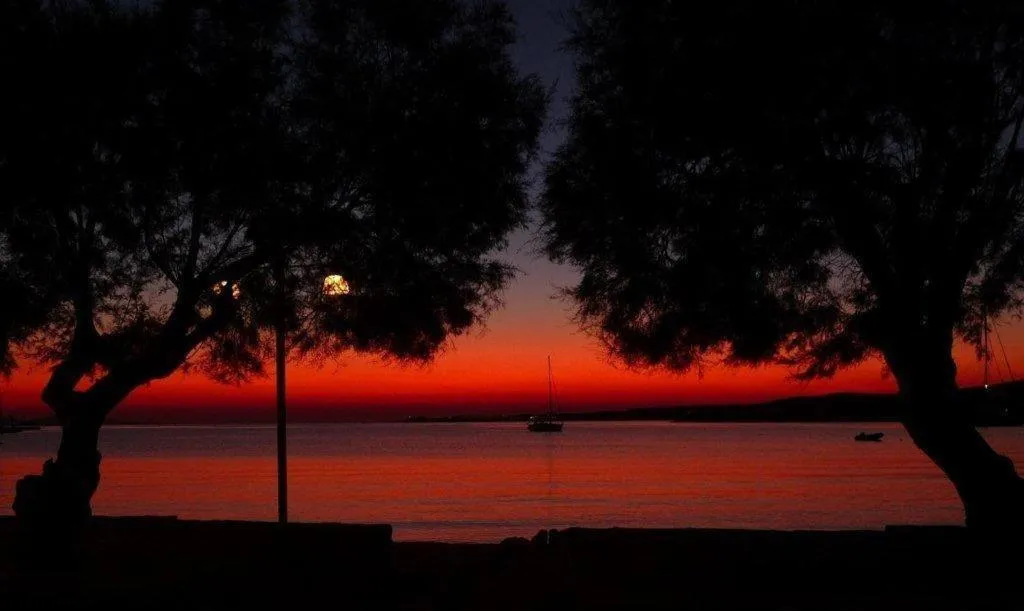 Natural landscape in Hotel Paros