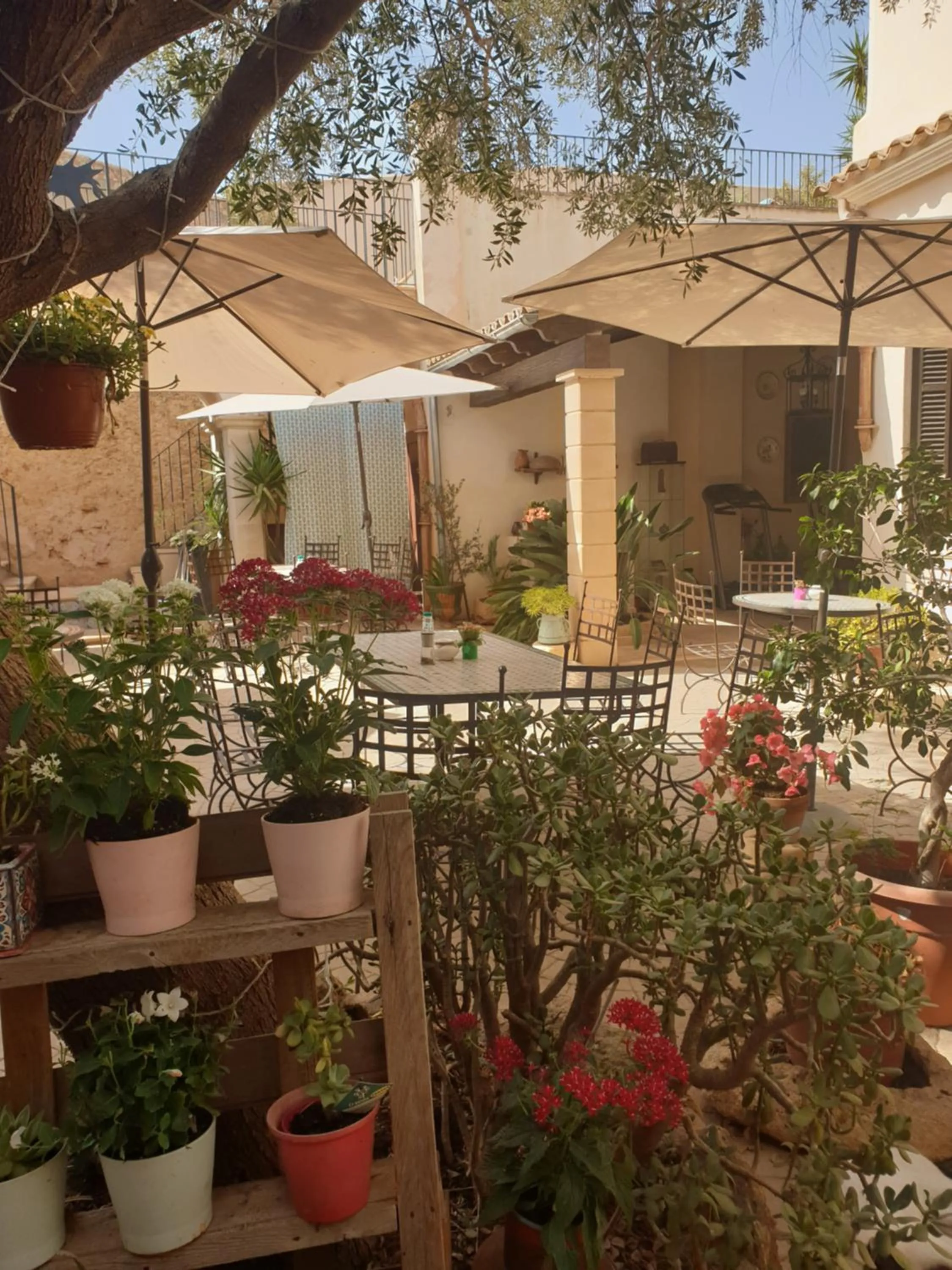 Patio in Hotel Segles - Turismo de Interior