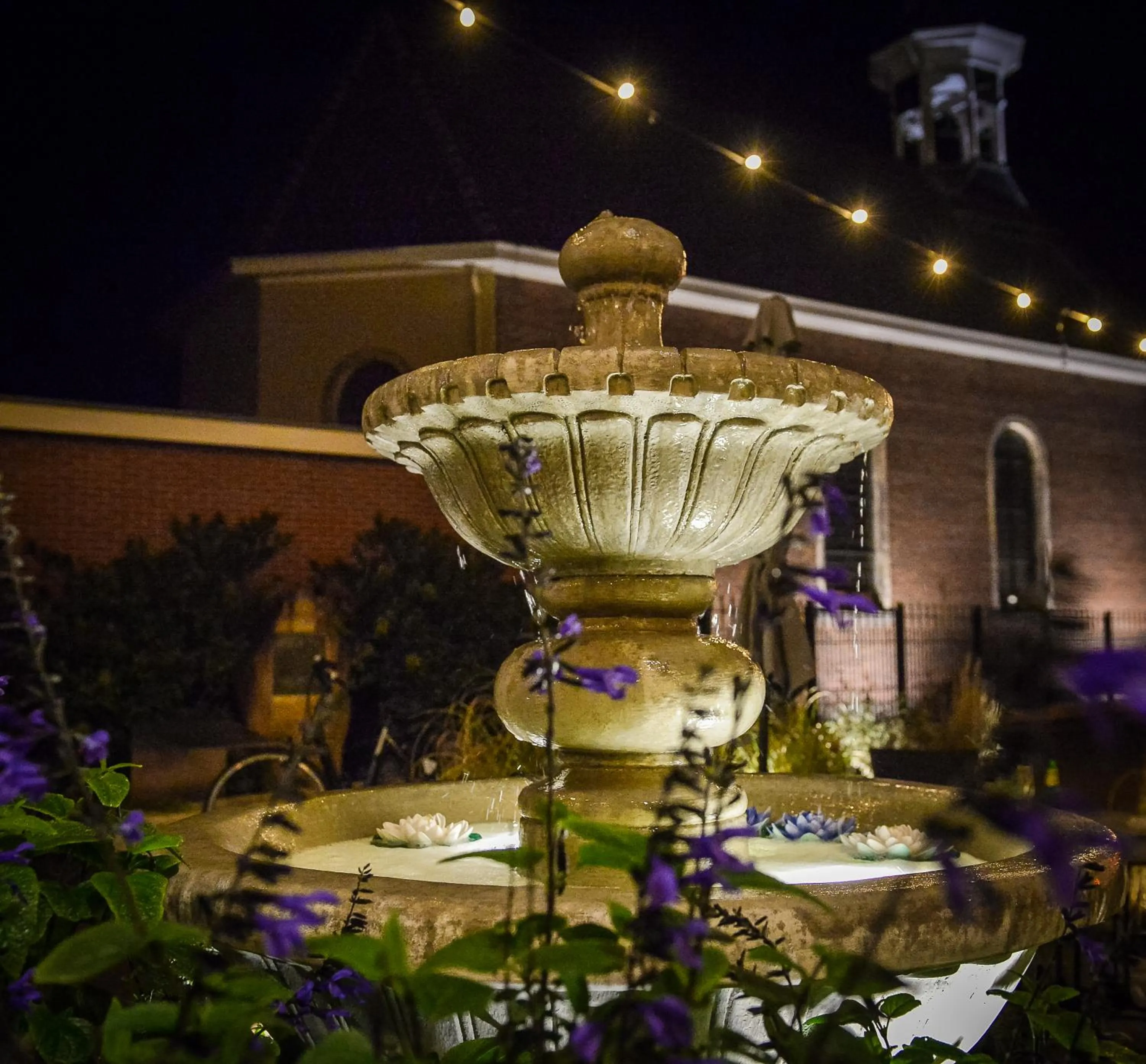 Restaurant/places to eat in Hotel De Schout