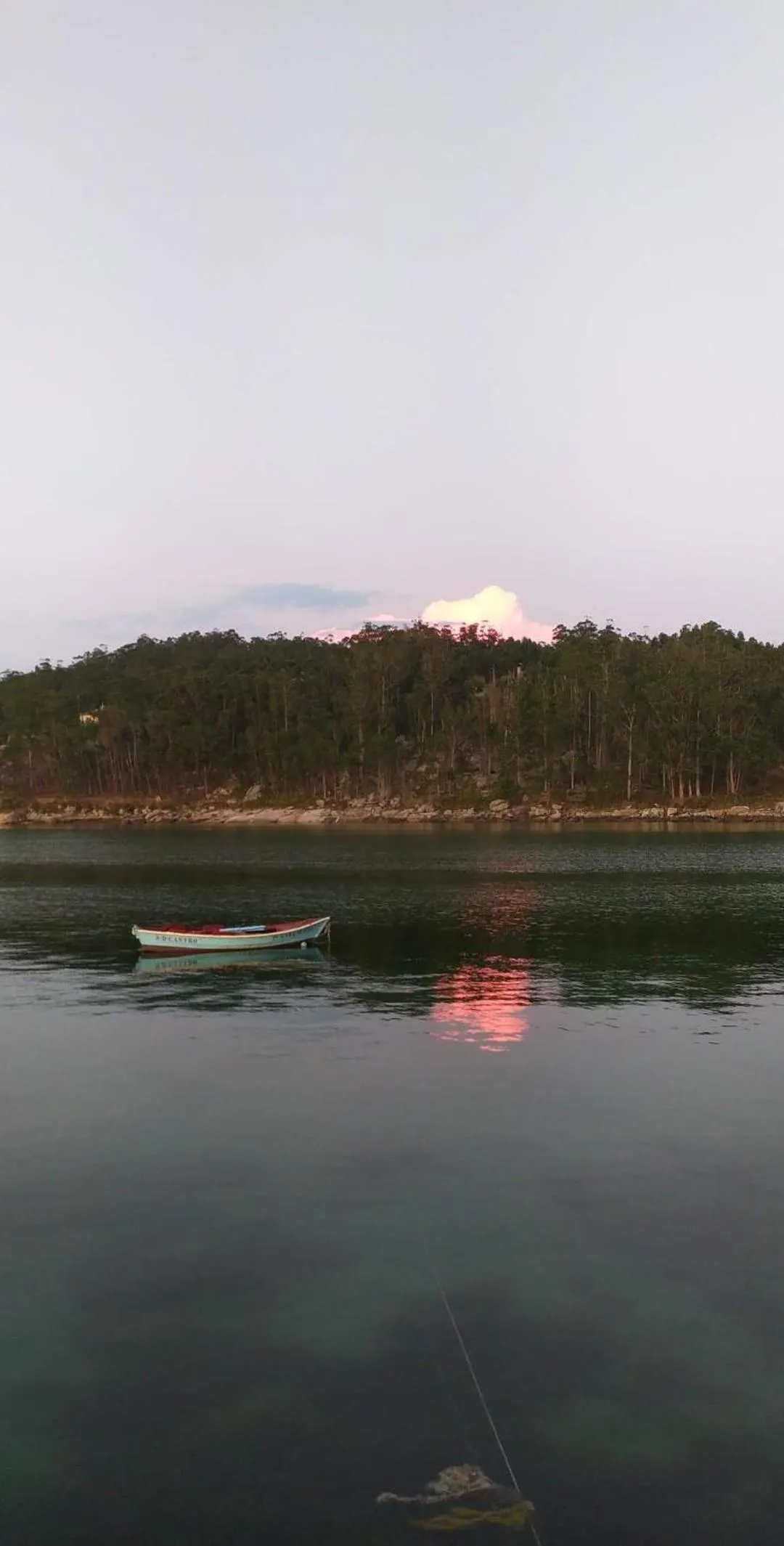 Natural landscape in Hotel Amandi