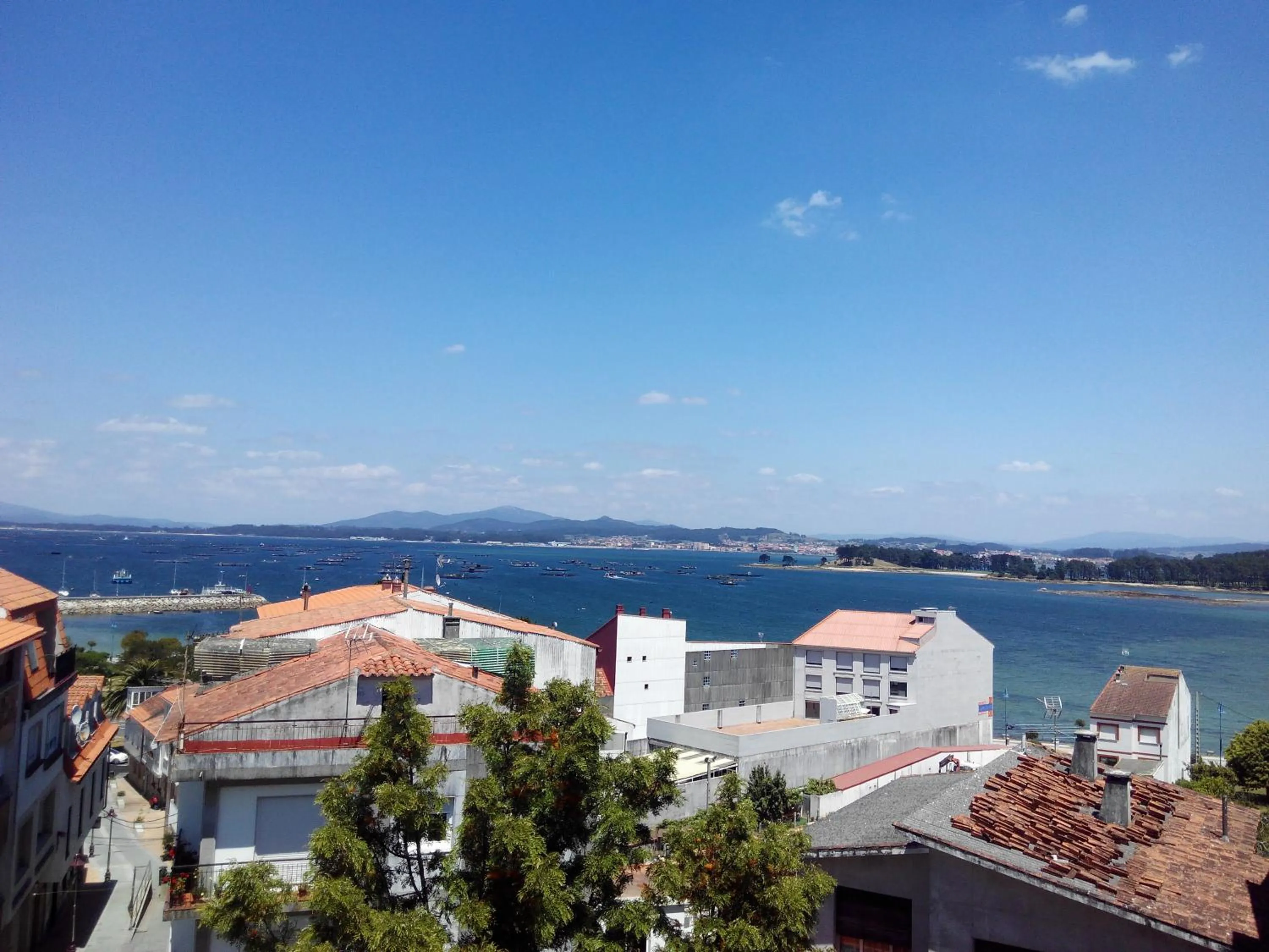 Balcony/Terrace in Hotel Amandi