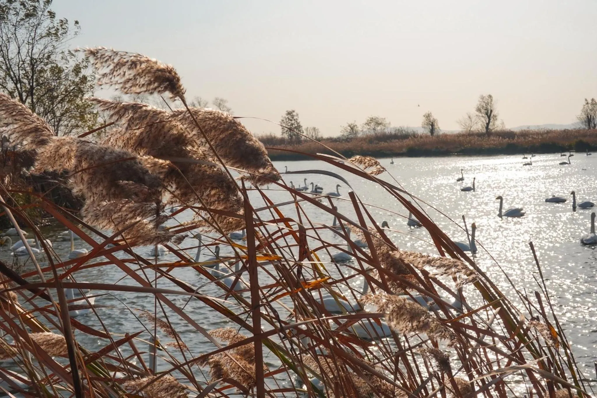 Nearby landmark in Crowne Plaza Weihai Binhai by IHG