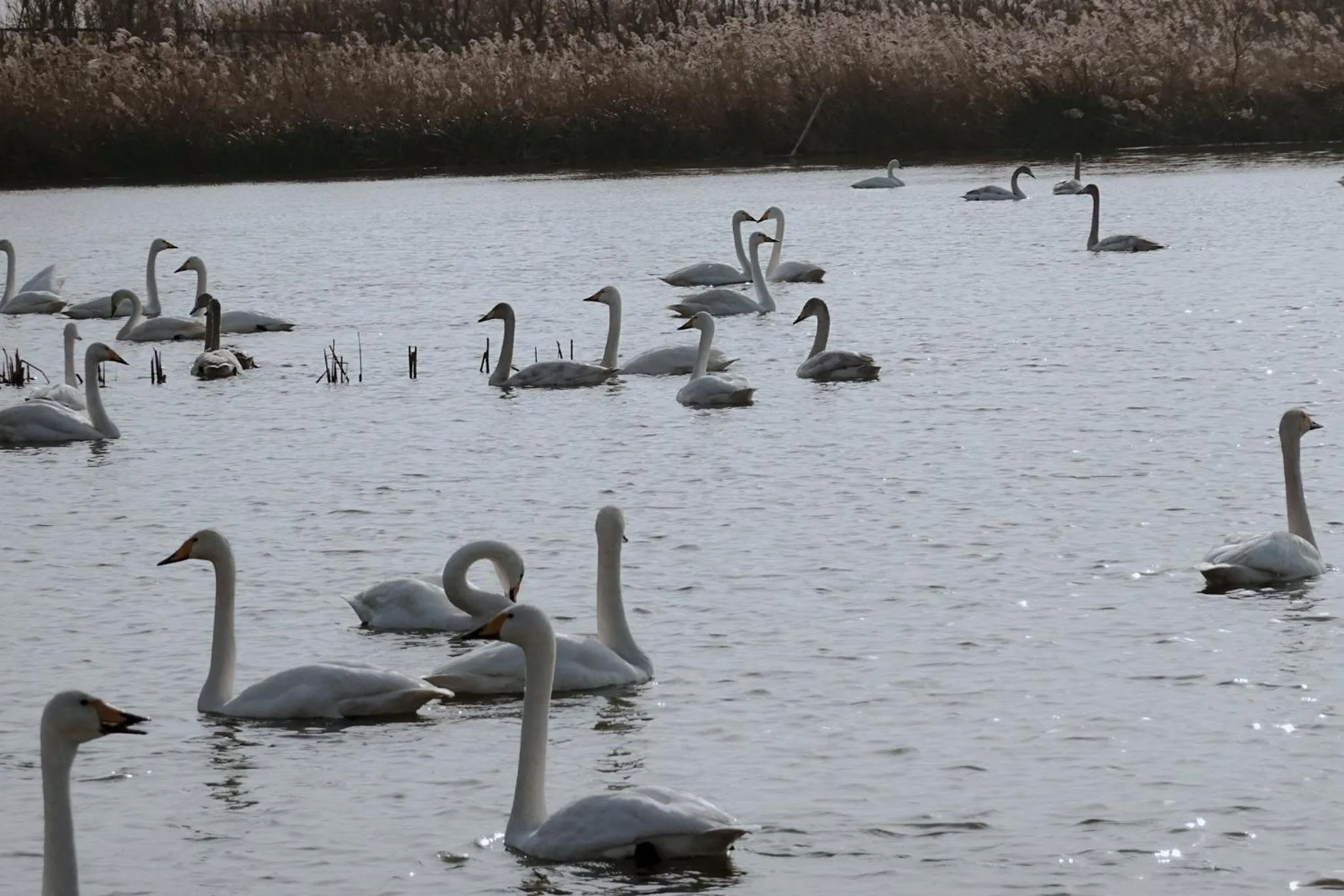 Nearby landmark in Crowne Plaza Weihai Binhai by IHG