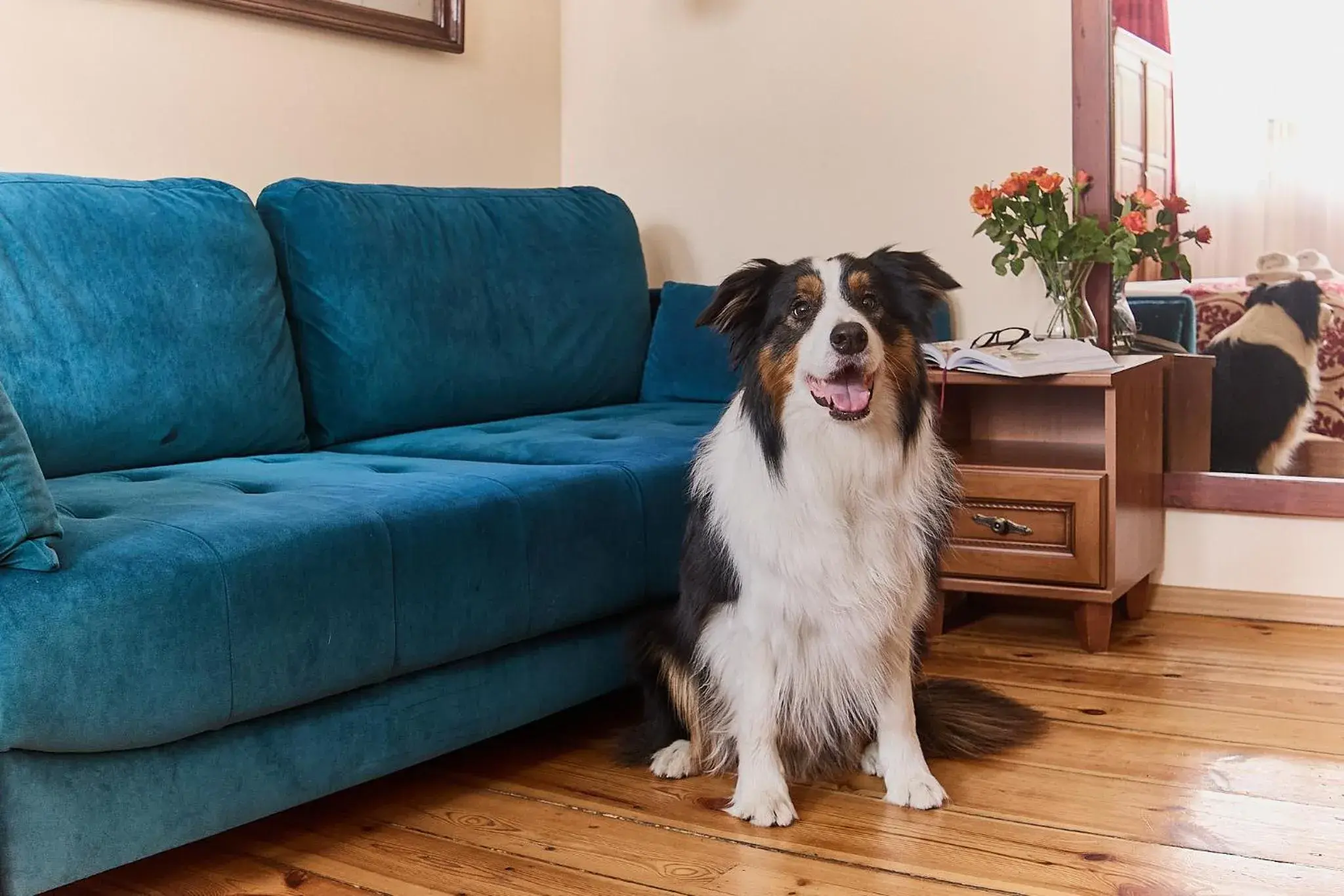 Triple Room in Kamienica pod Kasztanami Świnoujście Triple Room in Kamienica pod Kasztanami Świnoujście