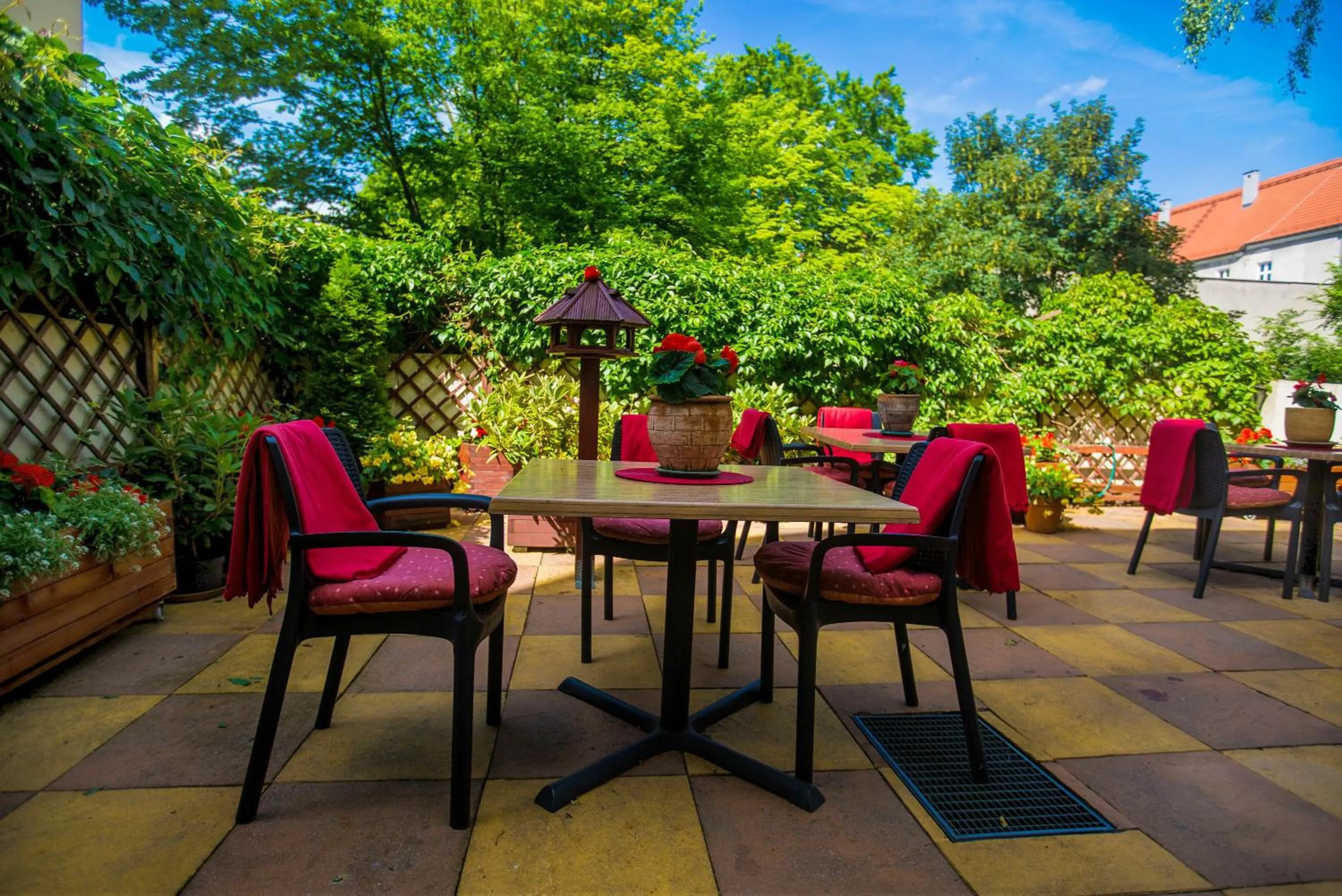 Summer in Kamienica pod Kasztanami Świnoujście (Usedom Insel)