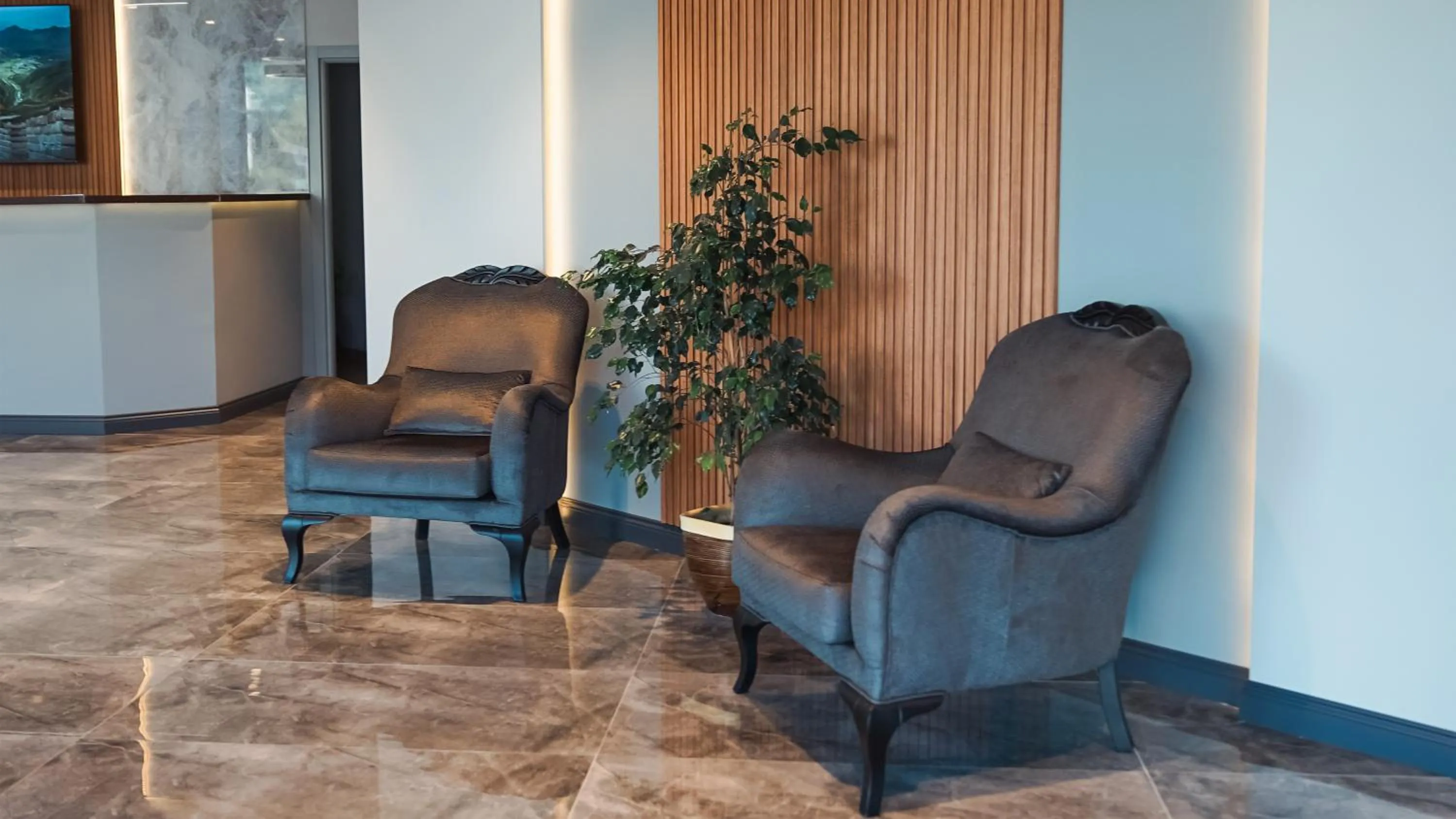 Lobby or reception in Altınova Hotel Sakarya