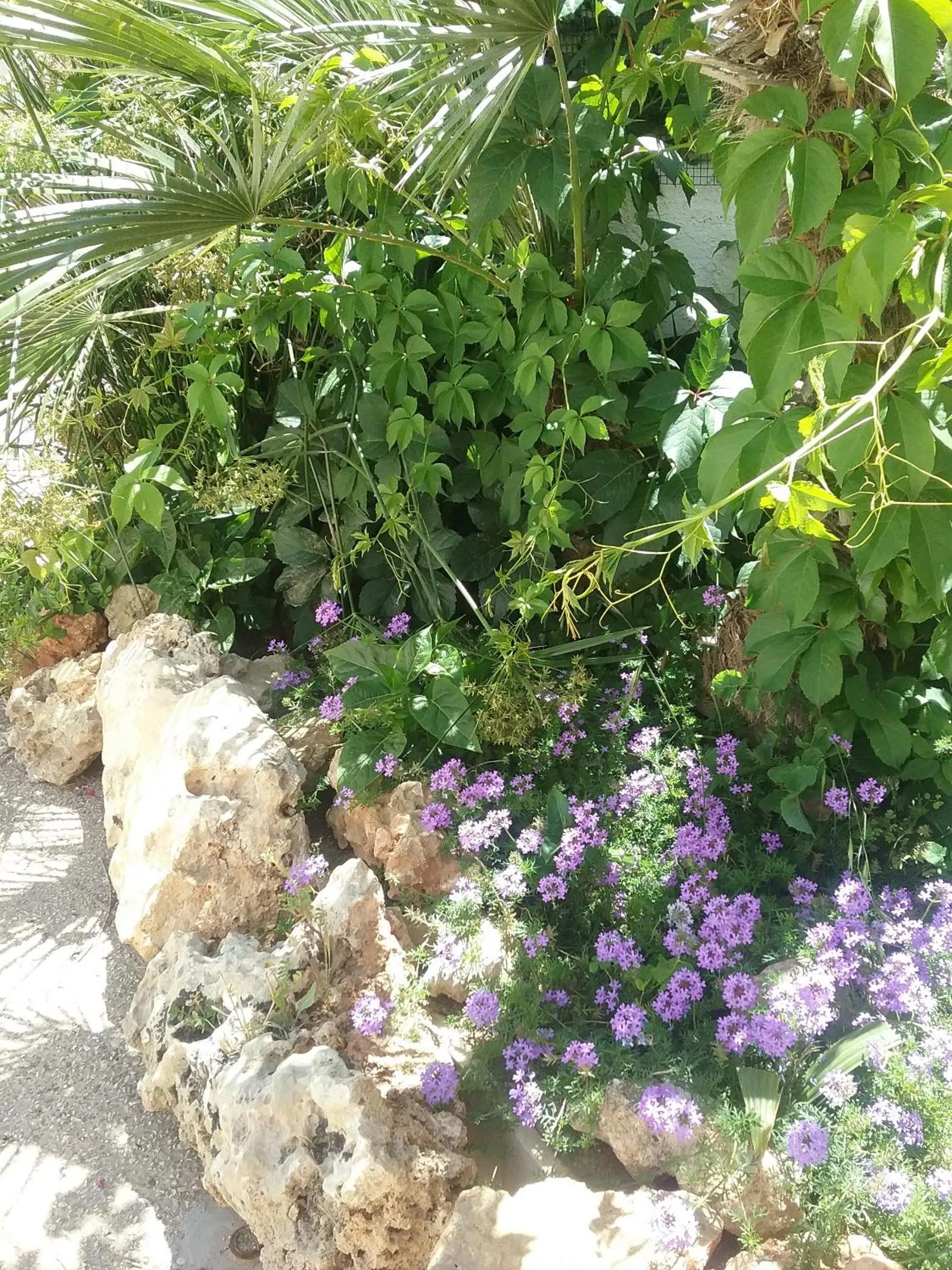 Garden in Residence San Vito