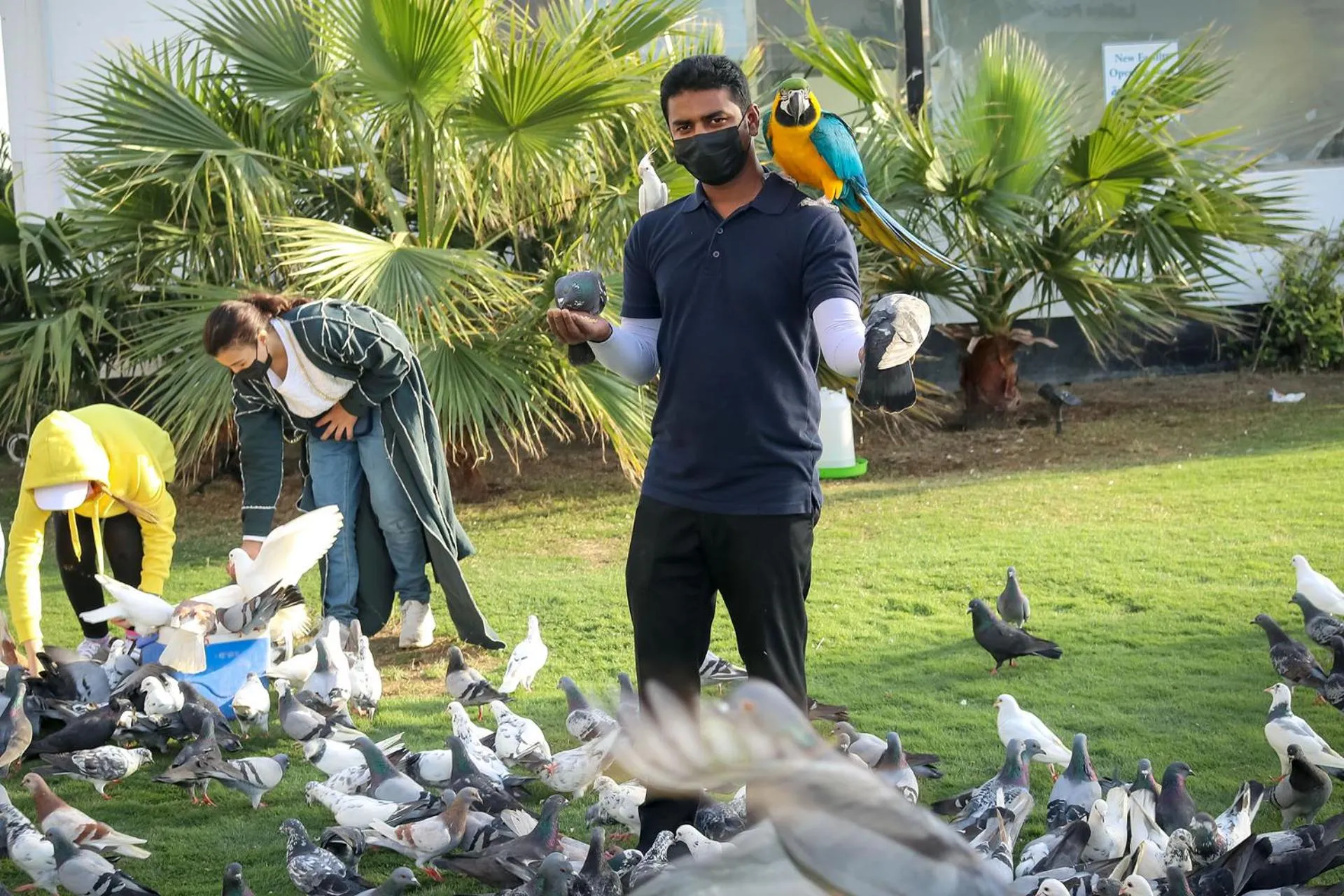 Activities in Lagoona Beach Luxury Resort and Spa