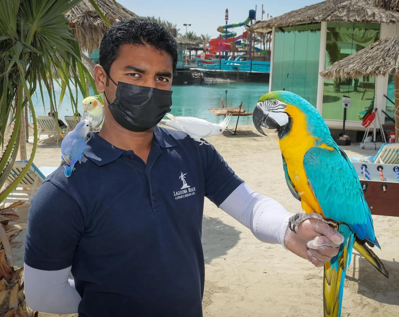 Staff in Lagoona Beach Luxury Resort and Spa