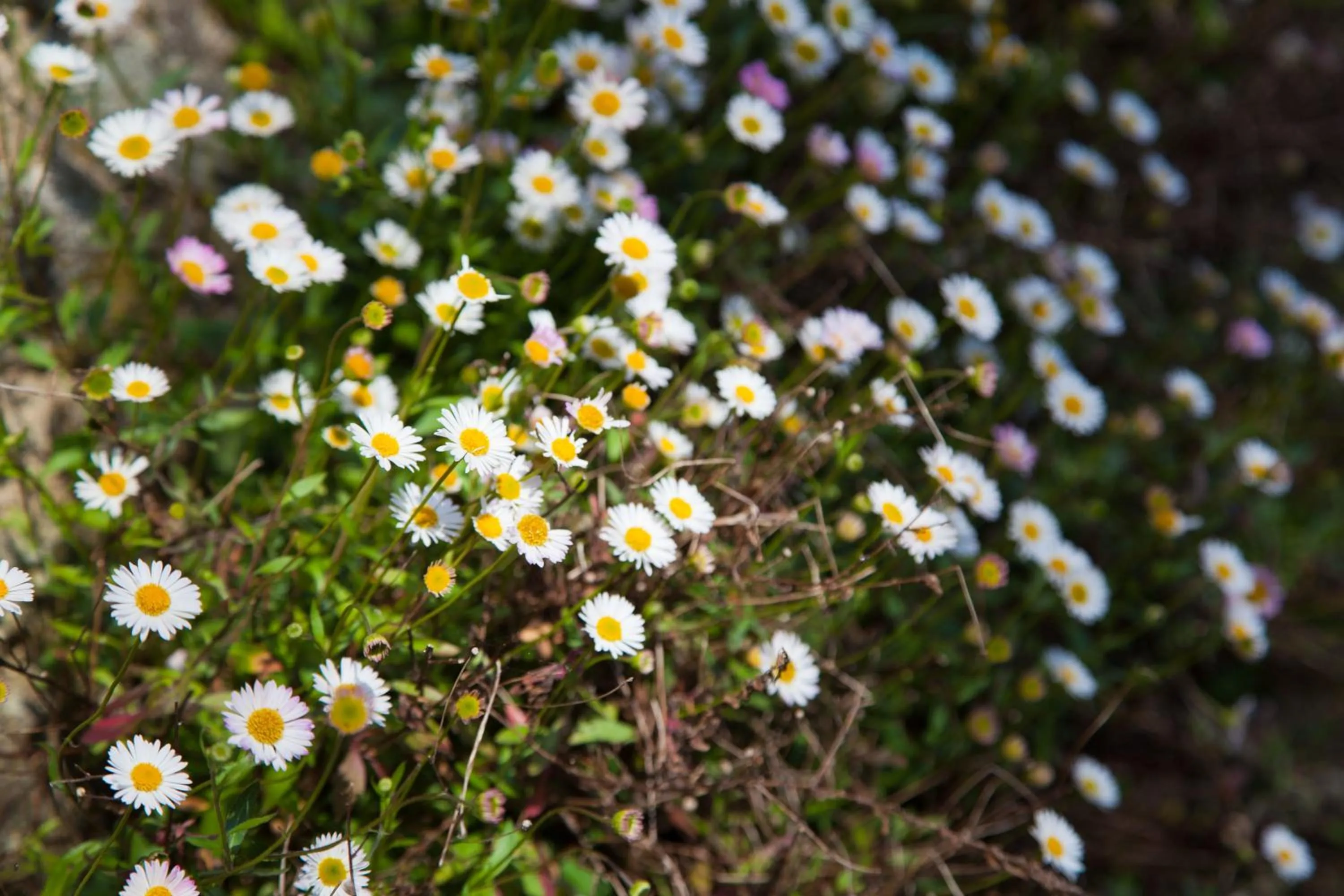 Other in Glebe Farm B&B