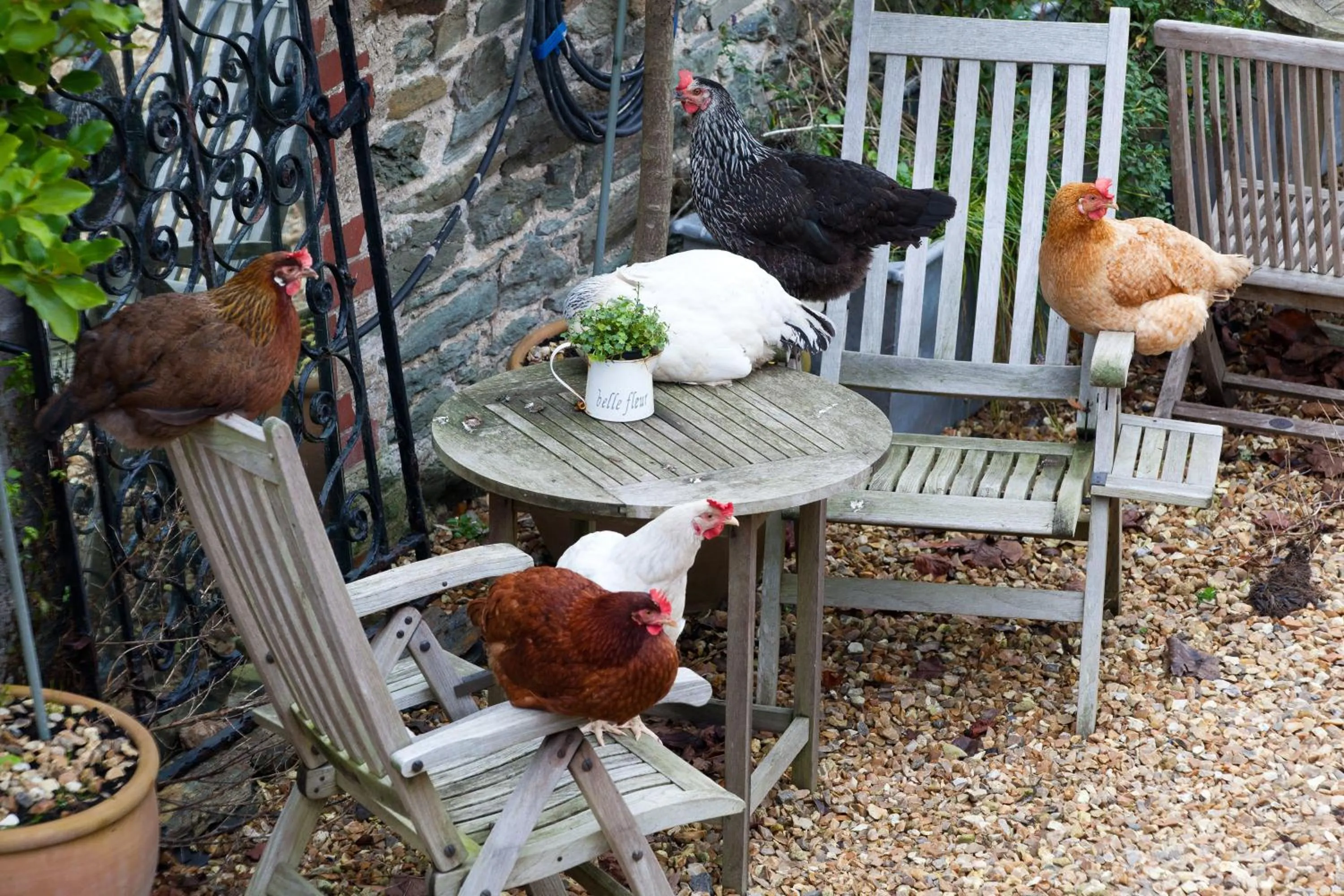 Day in Glebe Farm B&B