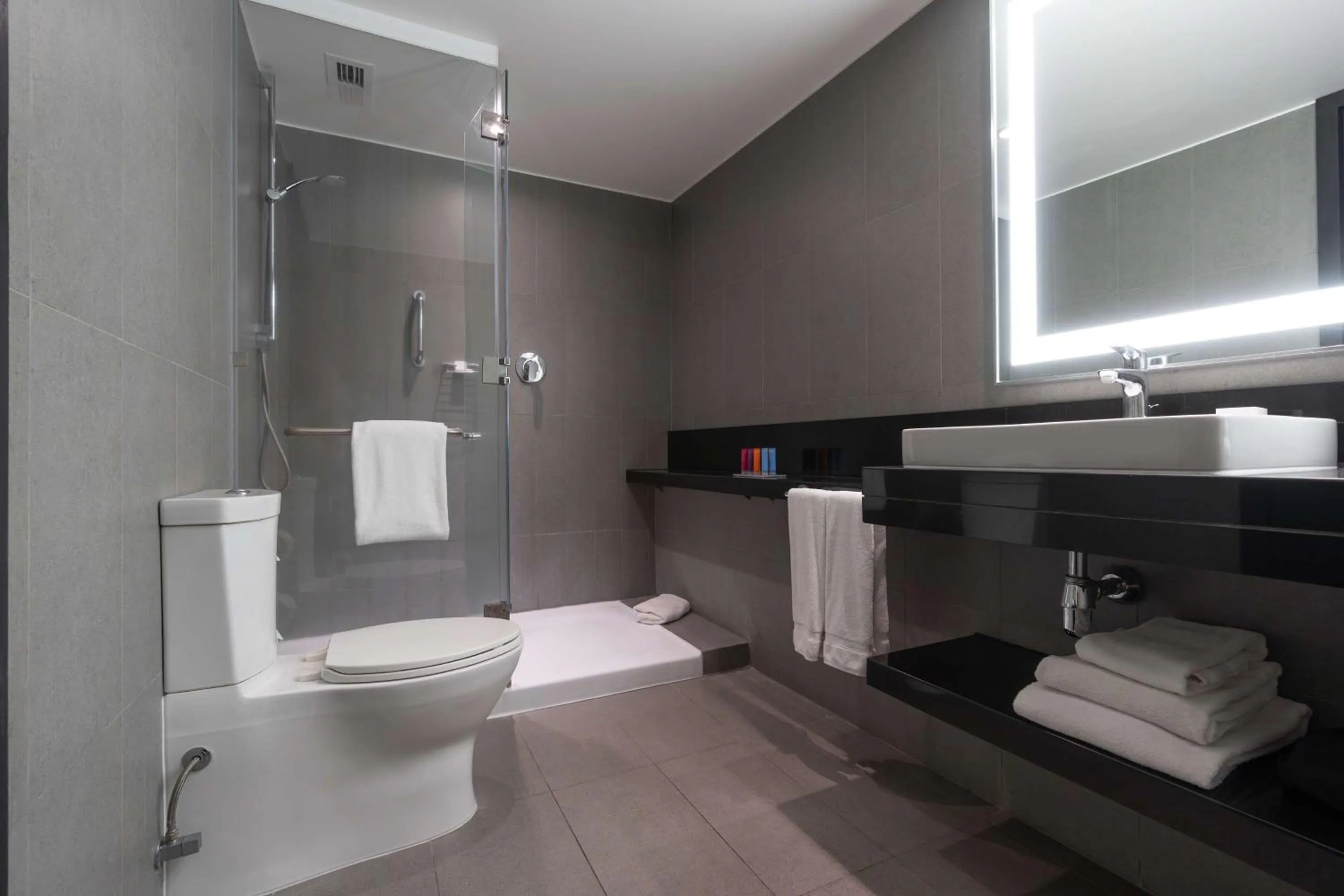 Bathroom in Hilton Garden Inn Iquique