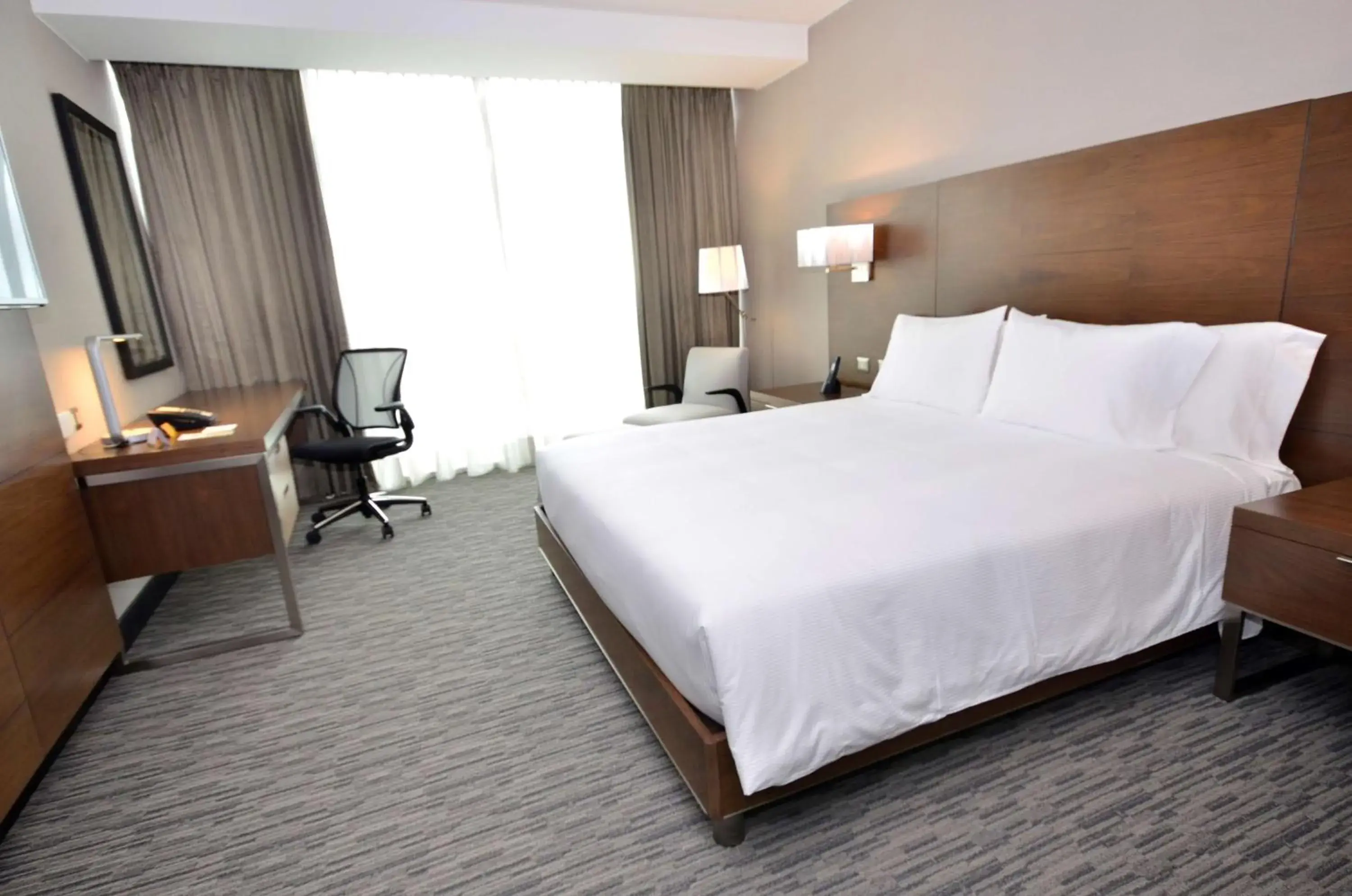 King Room with Ocean View - single occupancy in Hilton Garden Inn Iquique King Room with Ocean View - single occupancy in Hilton Garden Inn Iquique