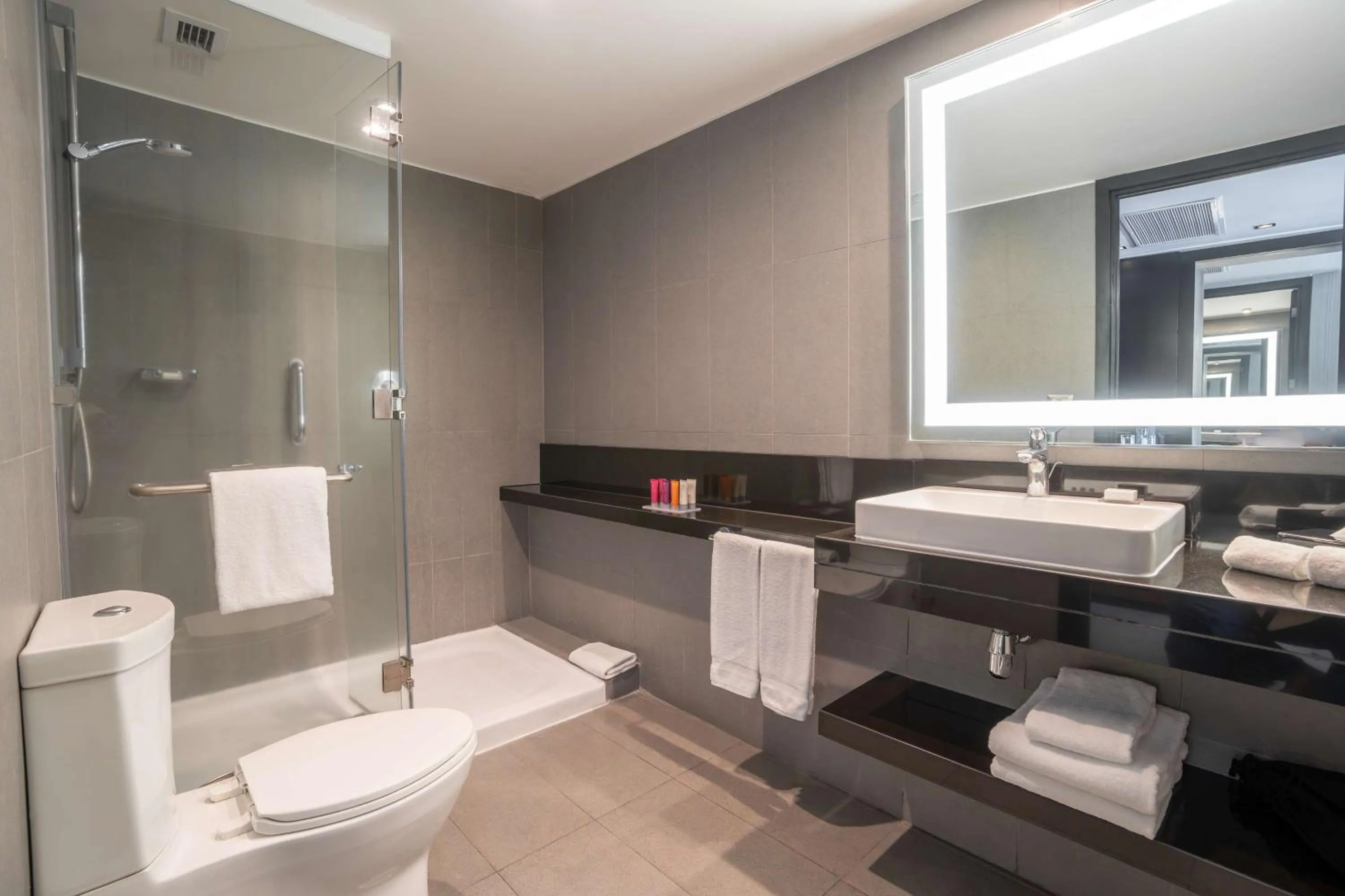 Bathroom in Hilton Garden Inn Iquique