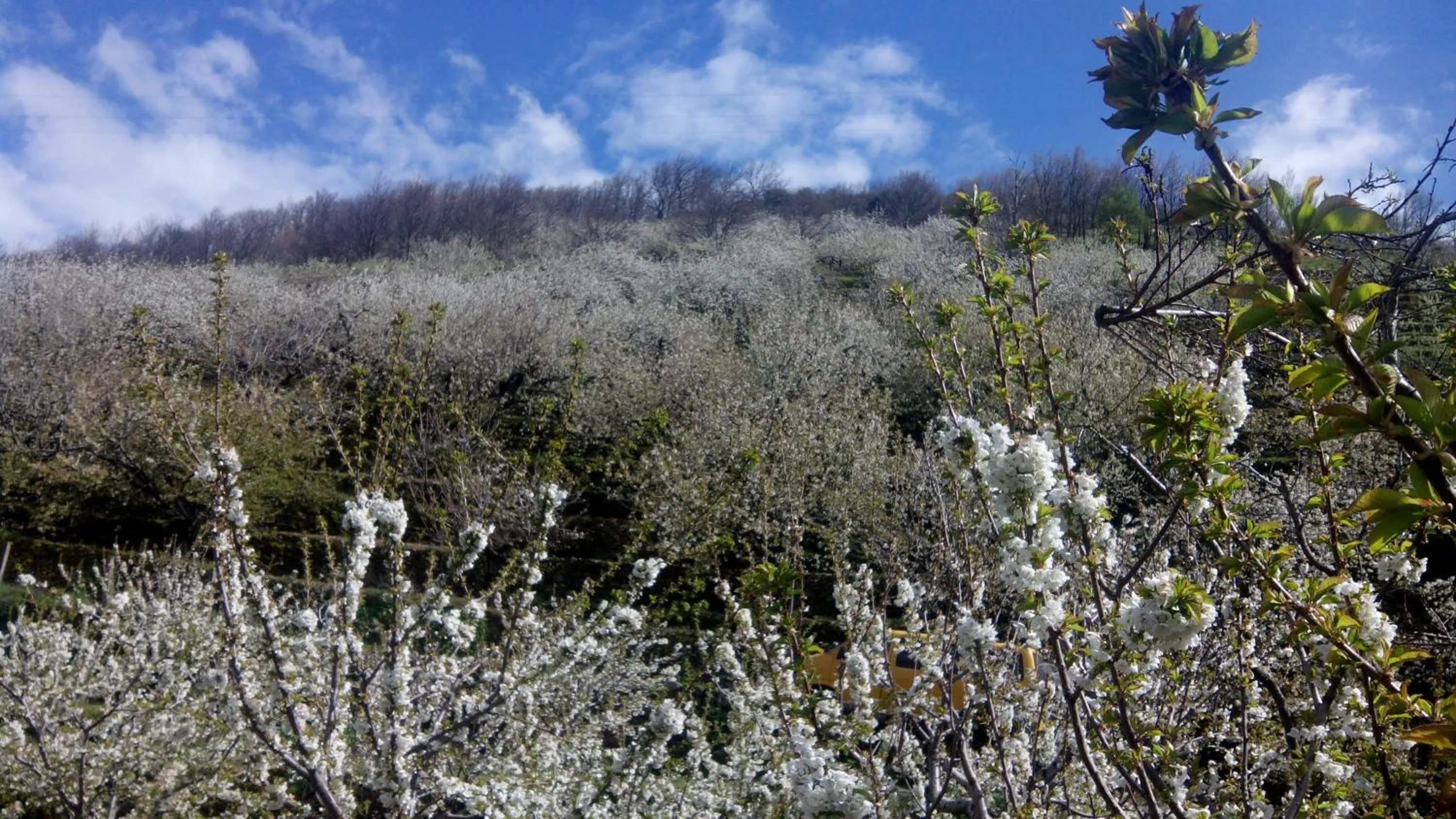 Other in Antigua Posada, Valle del Jerte