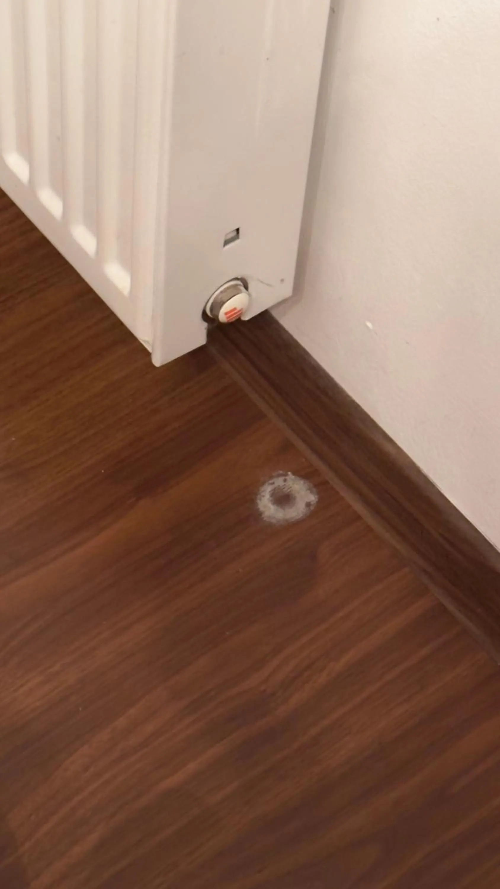 Pensiunea Bergwald Rasnov Brasov by BuySellRent