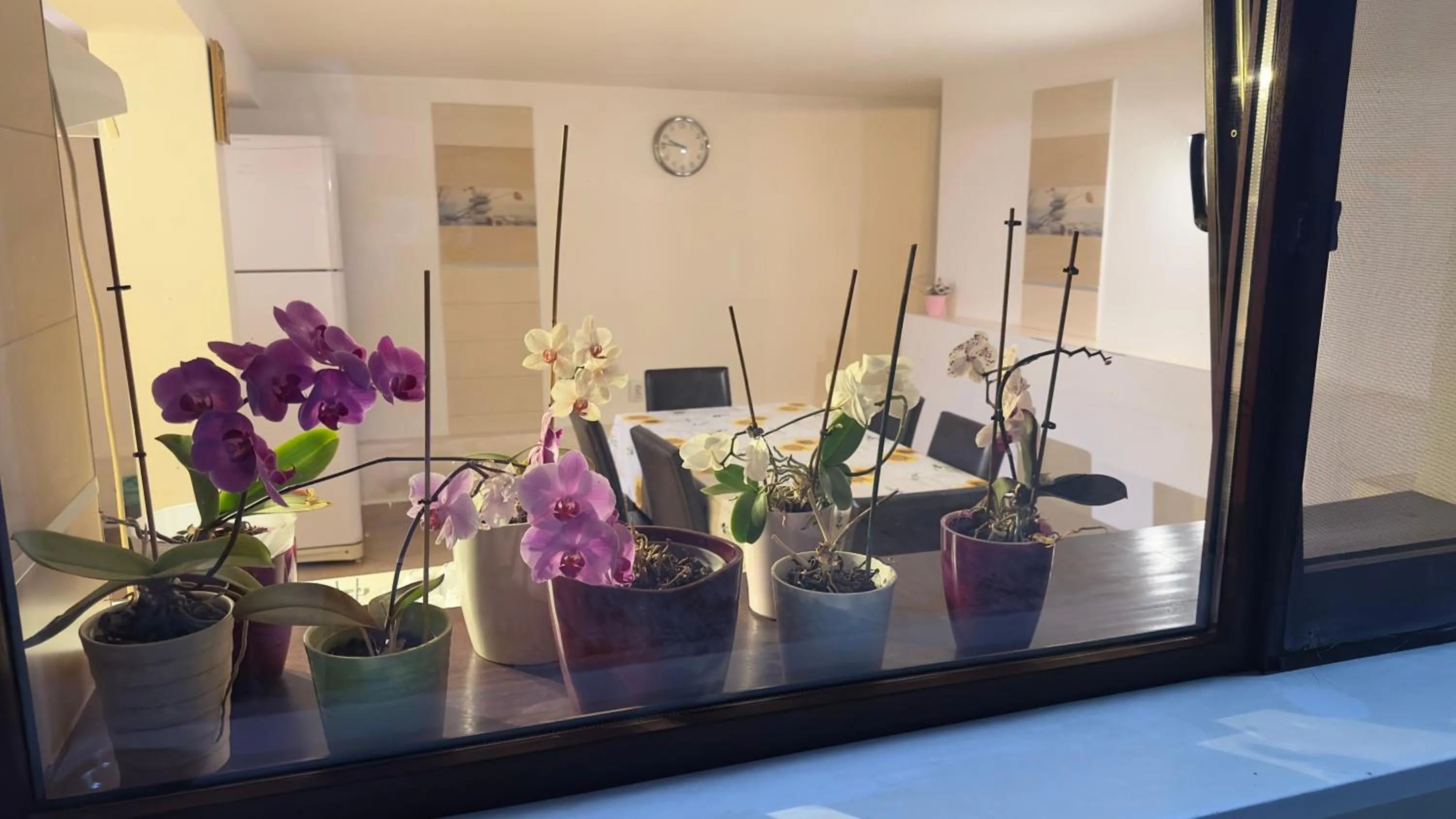 Pensiunea Bergwald Rasnov Brasov by BuySellRent