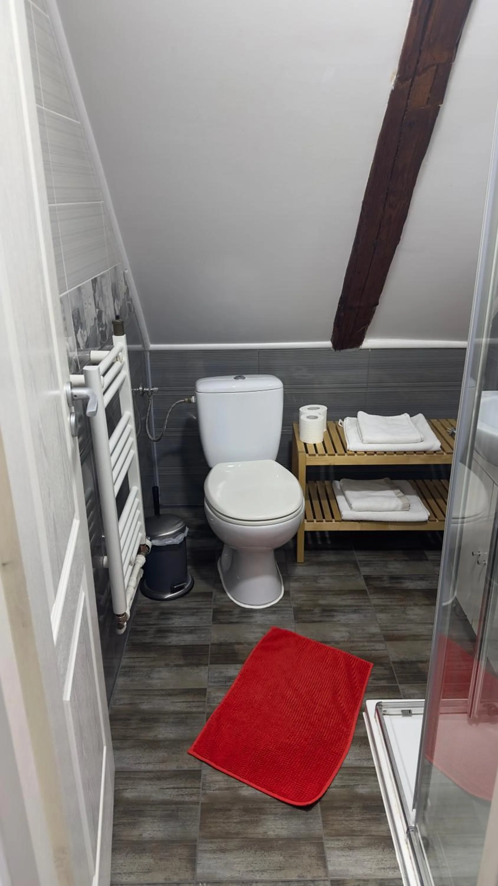 Toilet in Pensiunea Bergwald Rasnov Brasov by BuySellRent