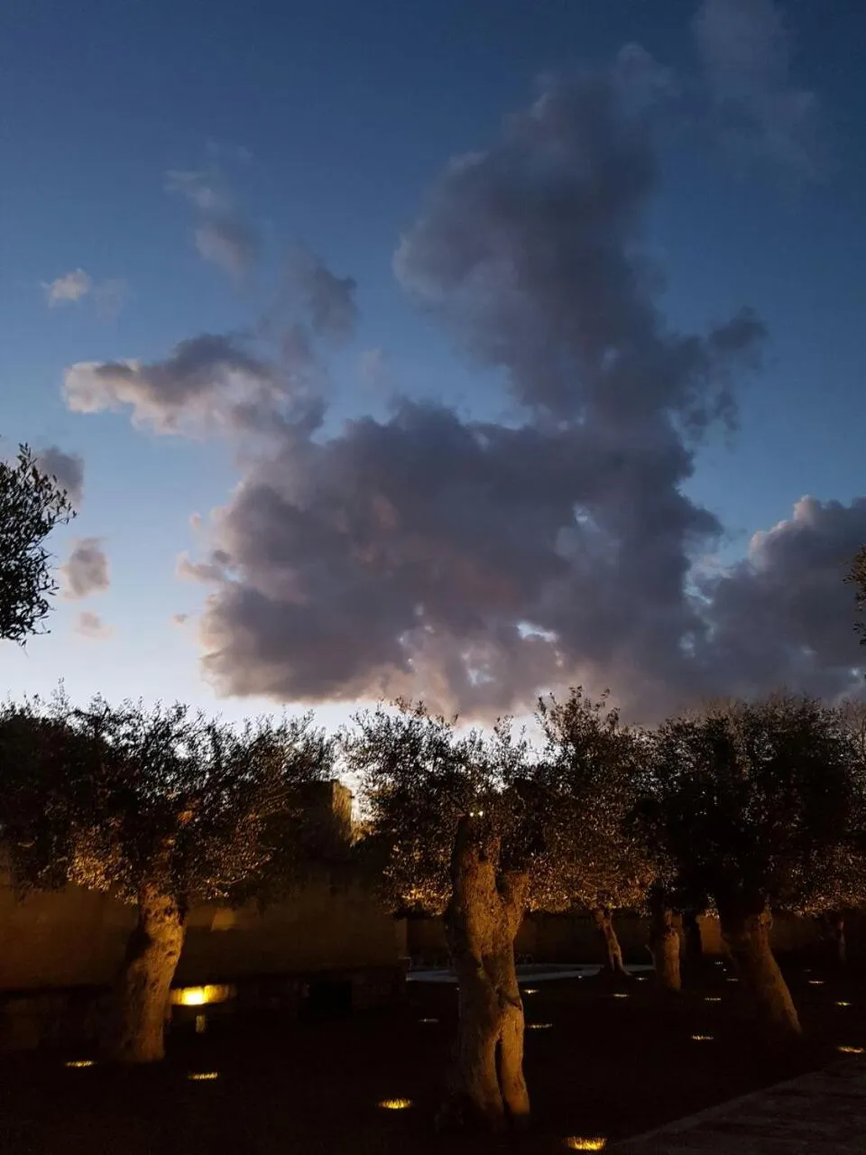 Garden in La Fiermontina Luxury Home Hotel