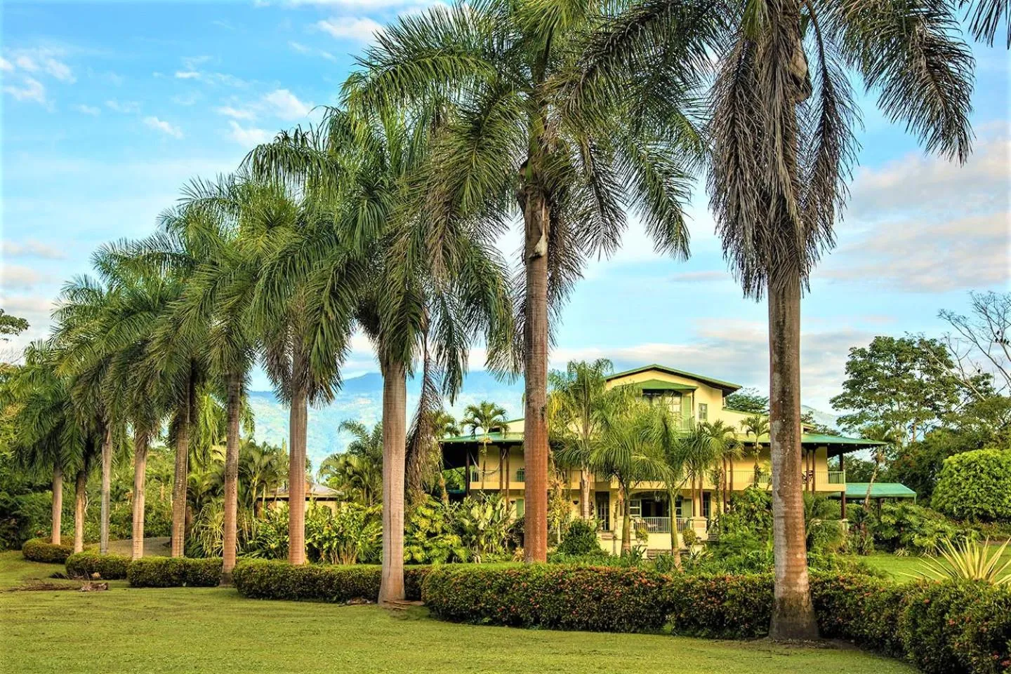 Garden in Hotel Casa Turire