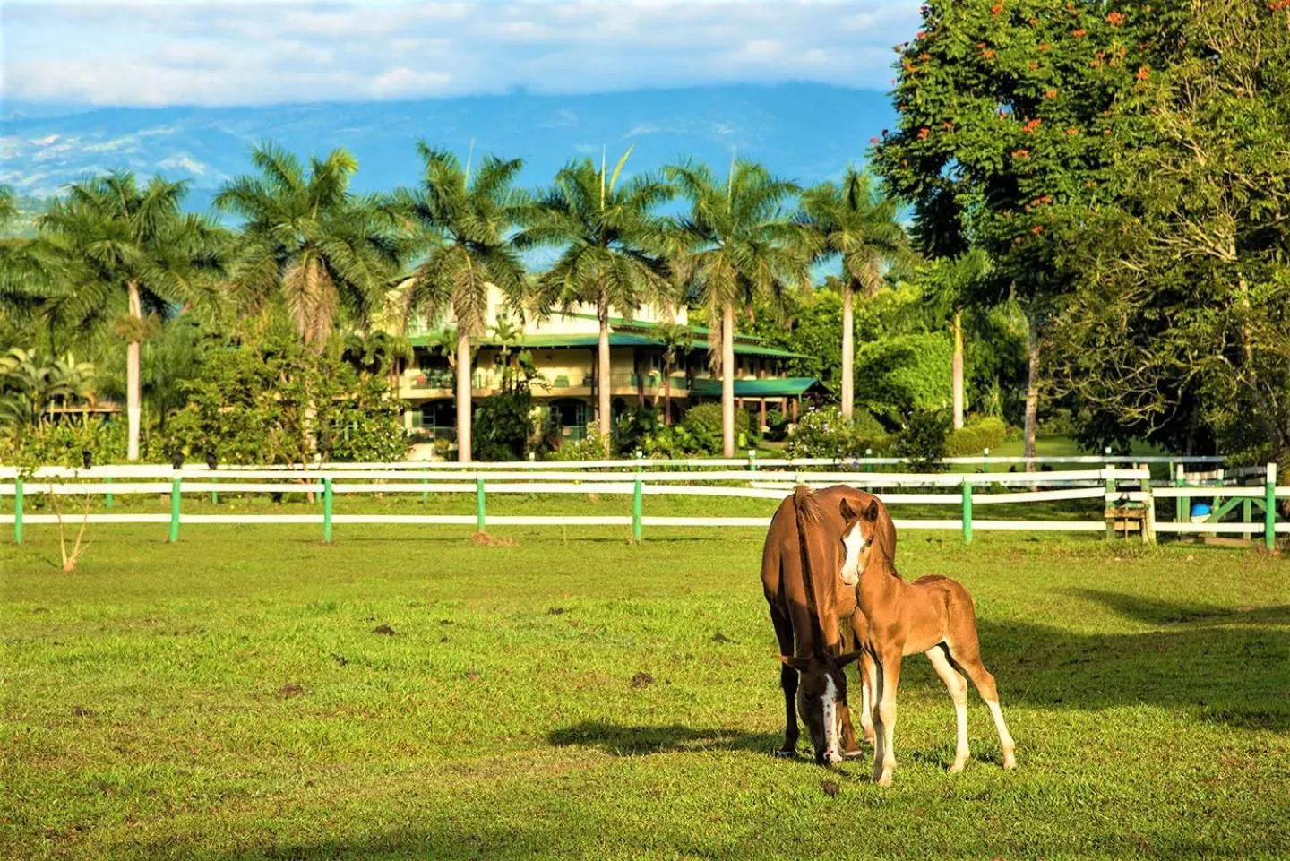 Patio in Hotel Casa Turire