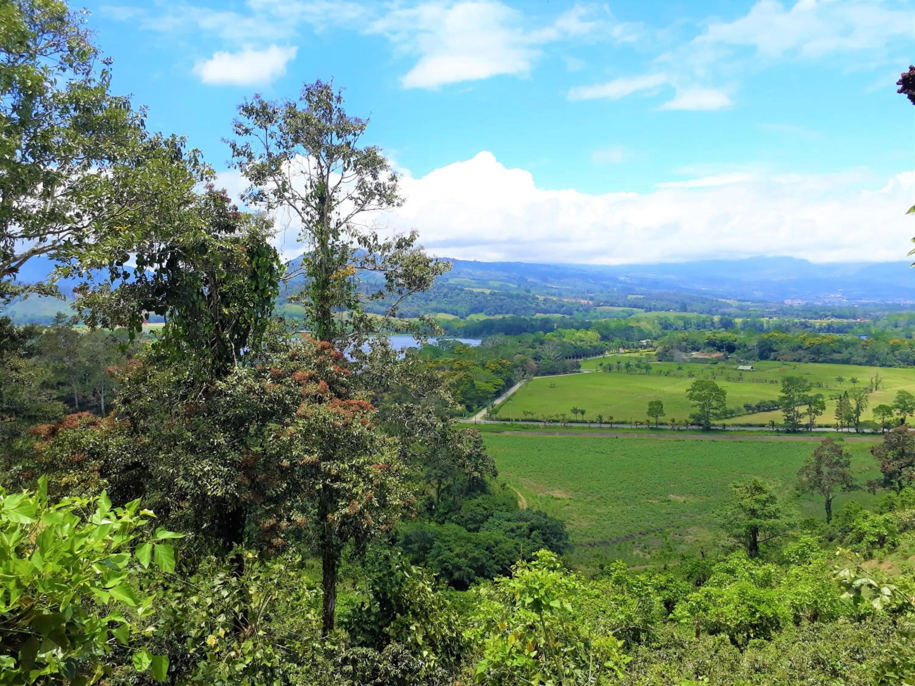Natural landscape in Hotel Casa Turire
