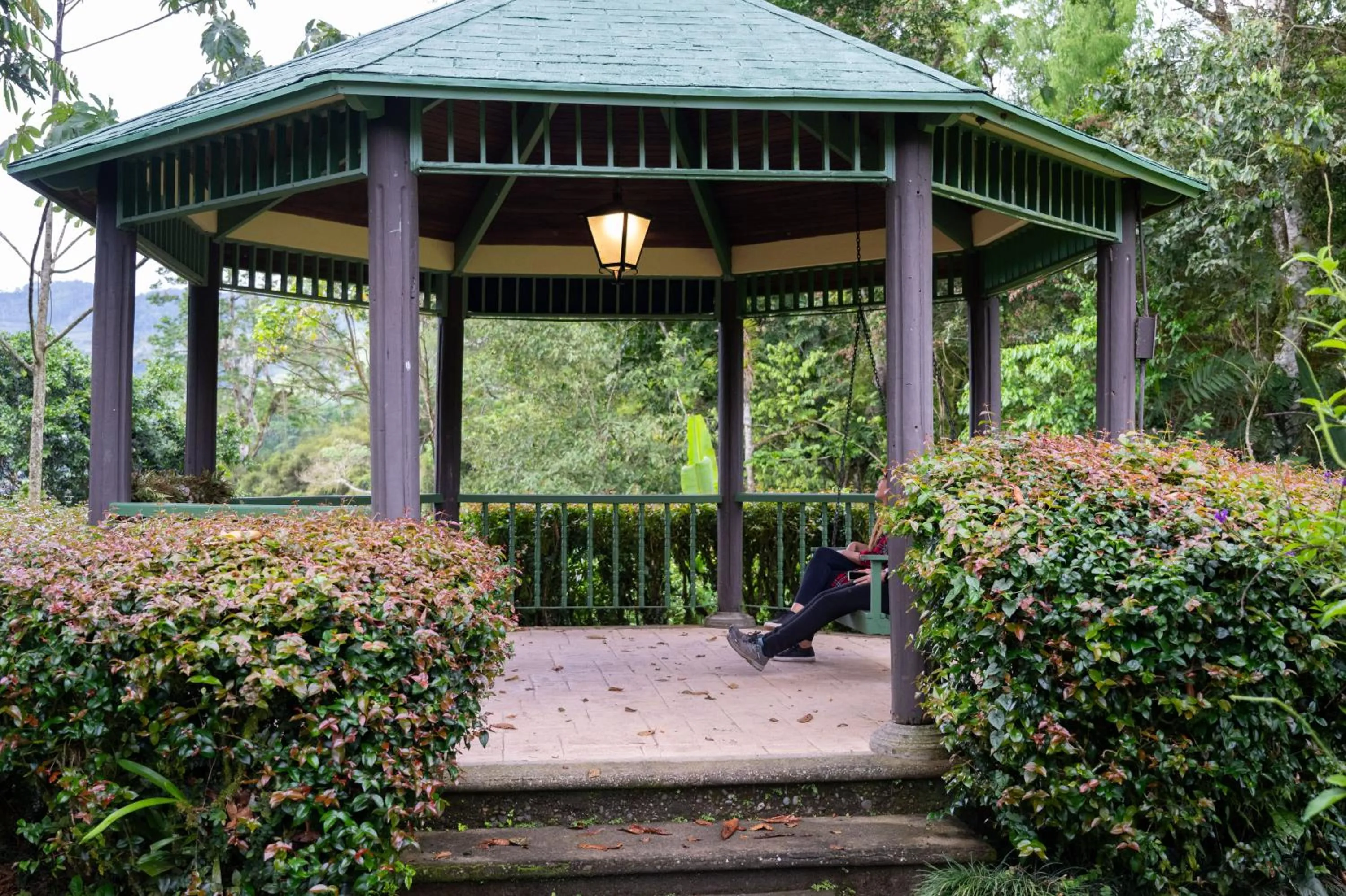 Garden in Hotel Casa Turire