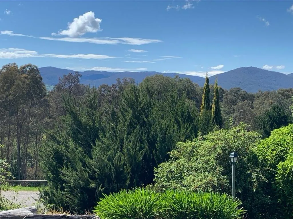 Natural landscape in Motel Views Yackandandah