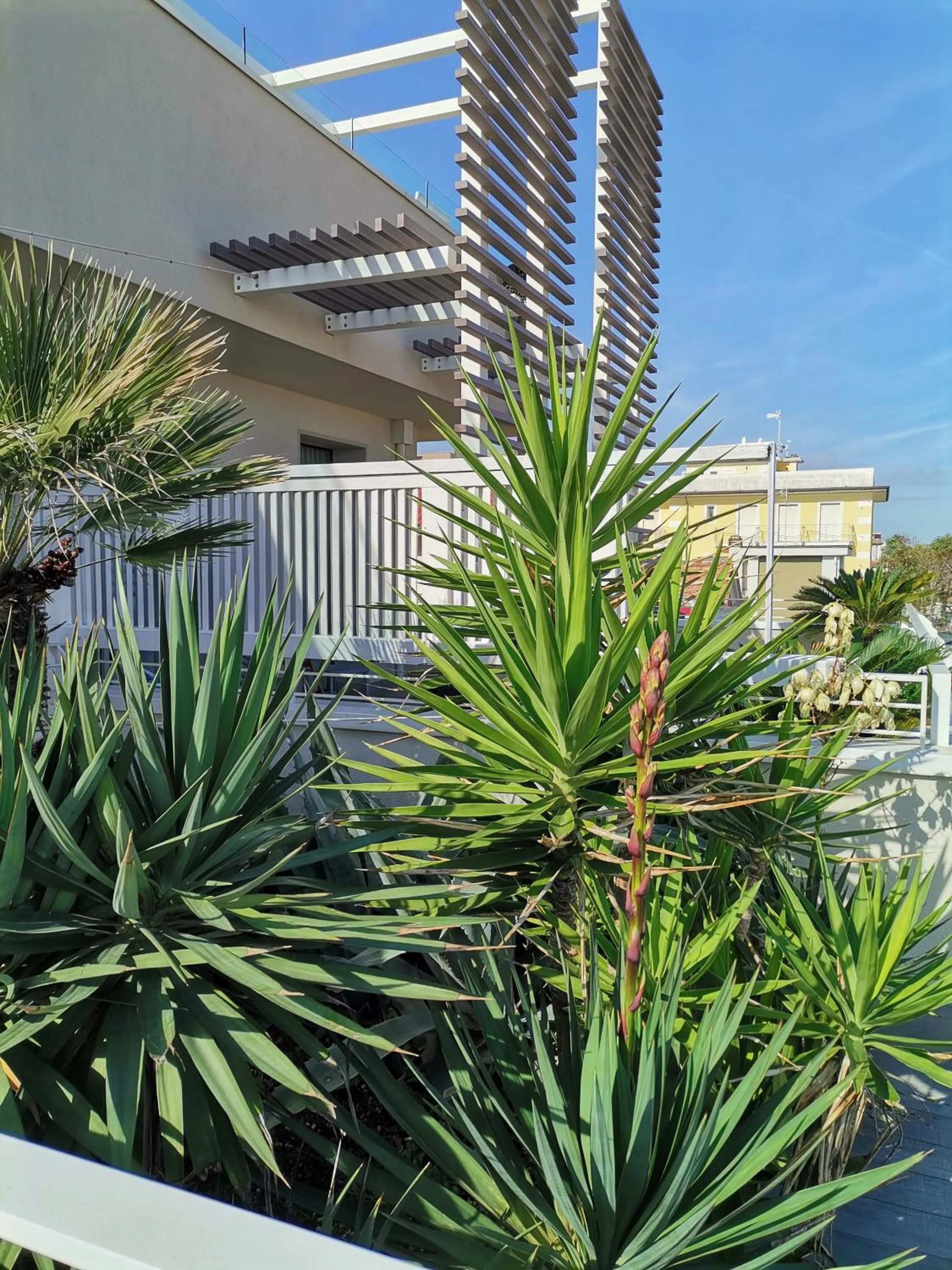 Garden view in Hotel Madalù