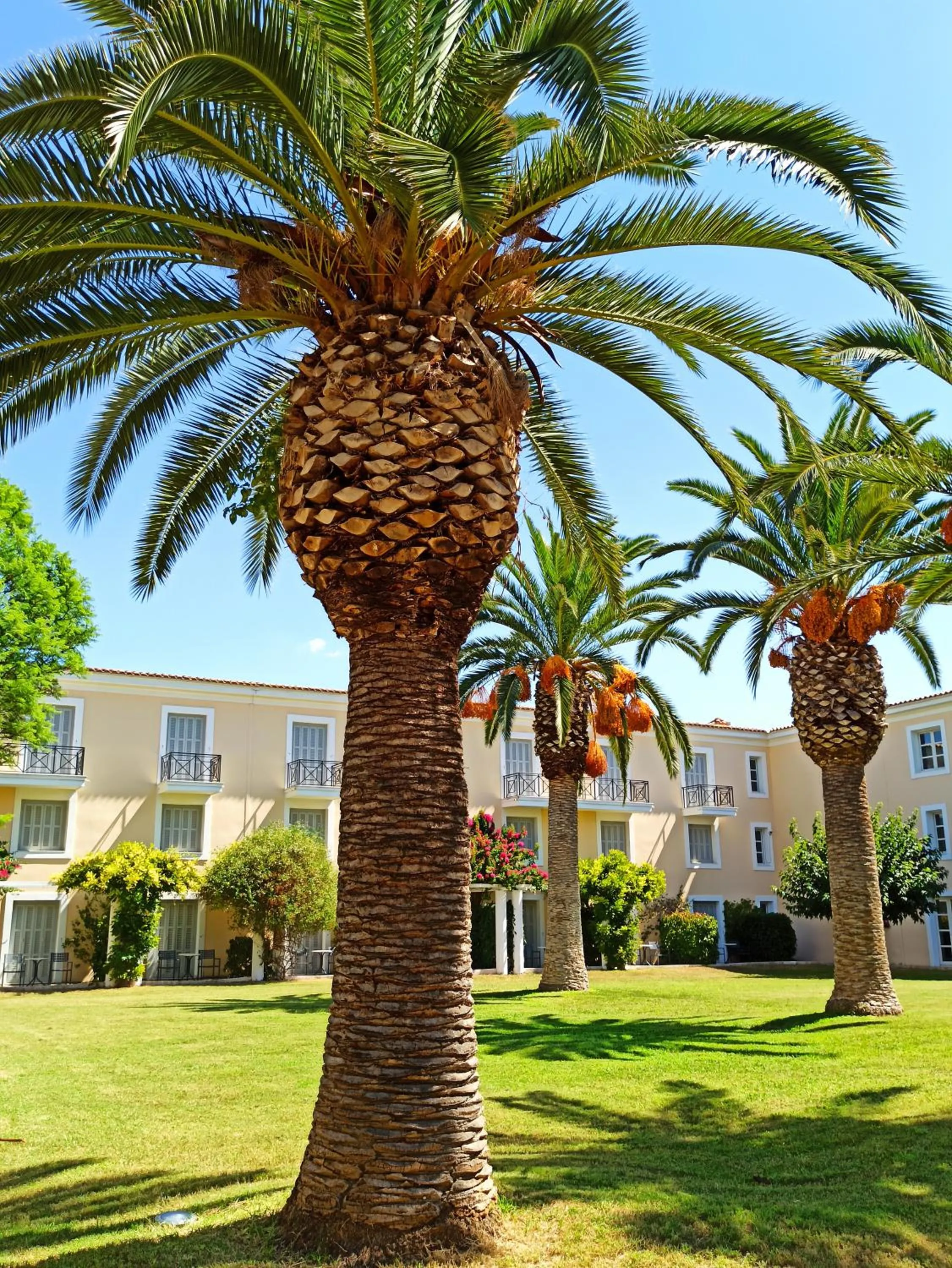 Garden in Amalia Hotel Nafplio