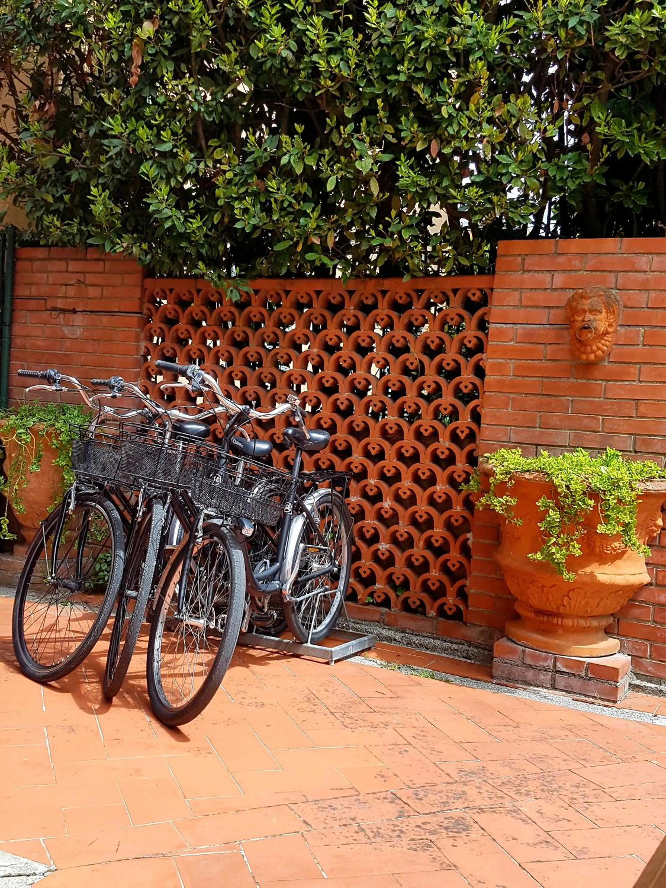 Cycling in Il Villino