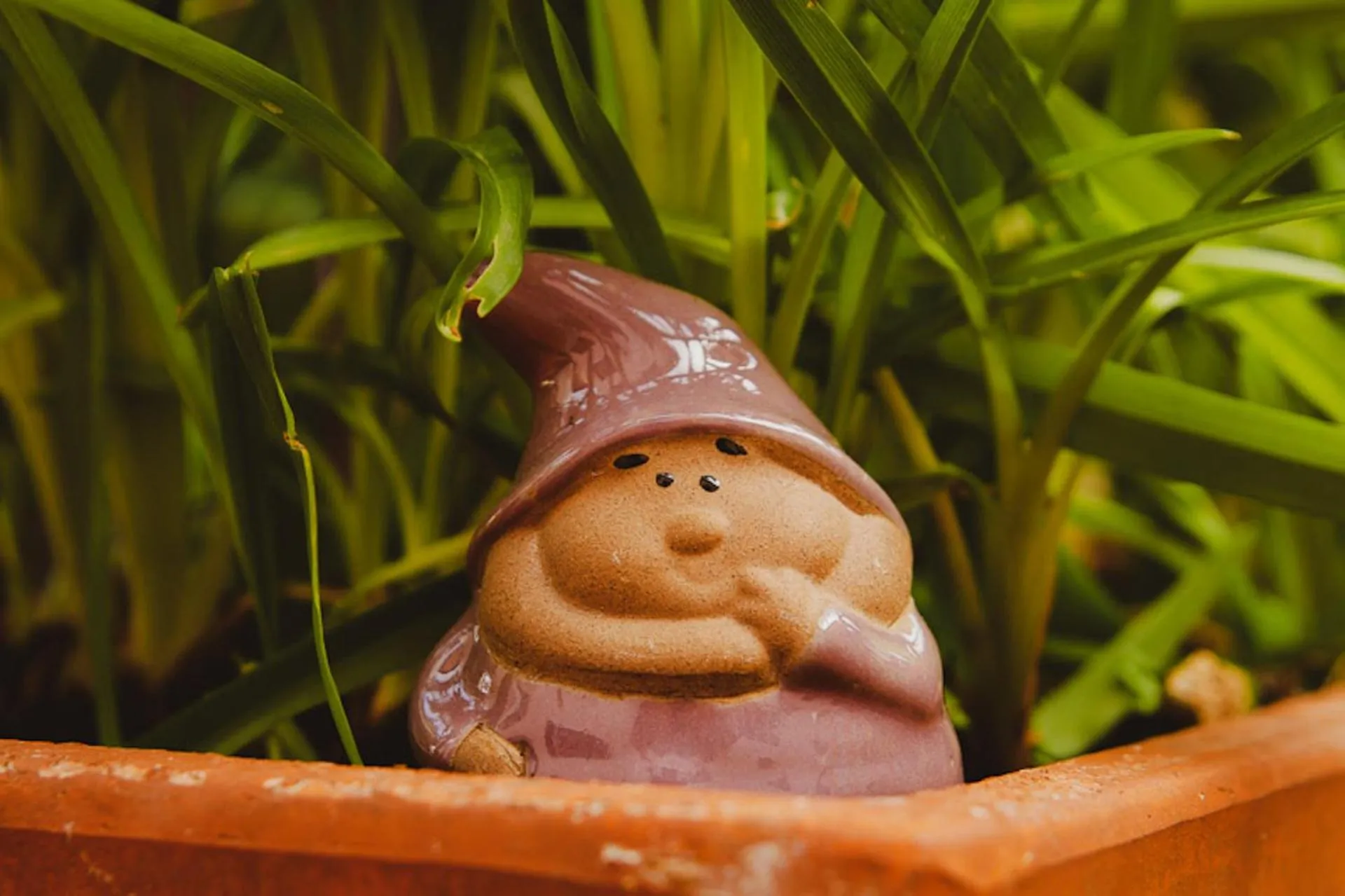 Garden in Il Villino