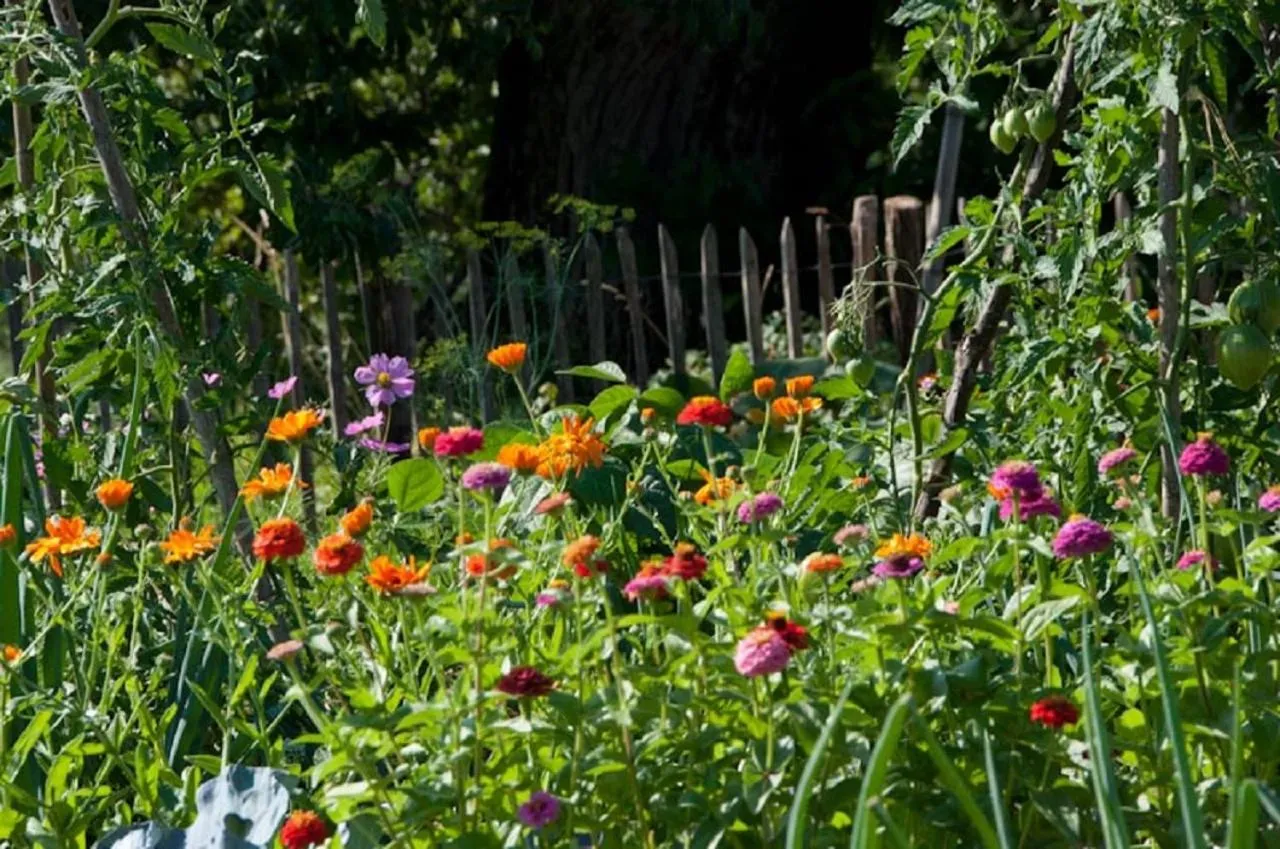 Gîte La Grange Du Haut