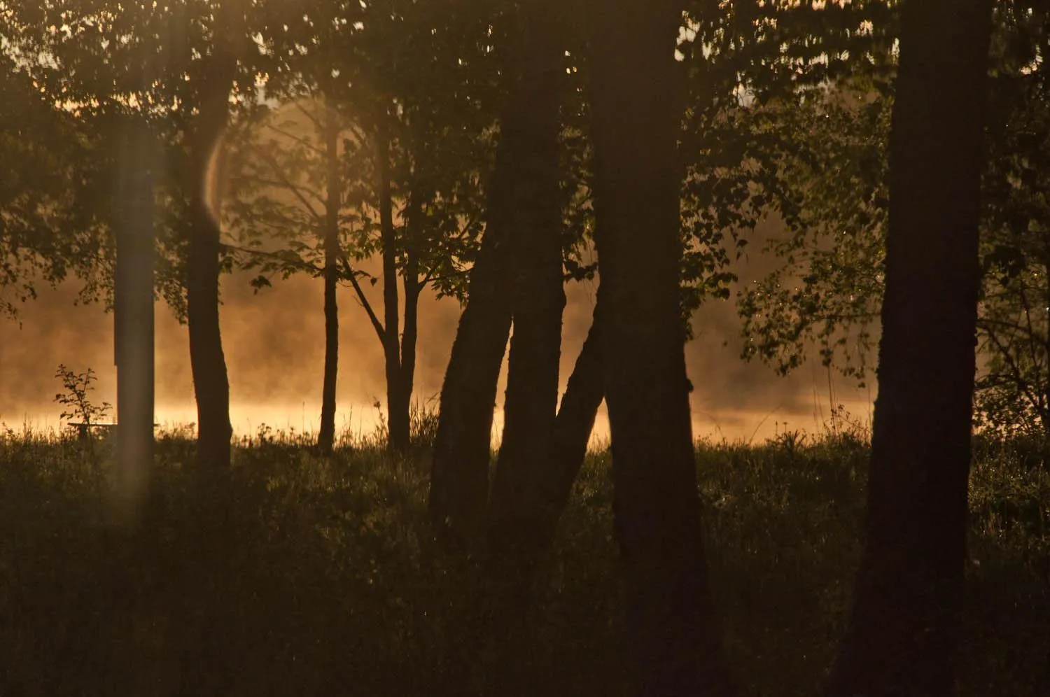 Gîte La Grange Du Haut