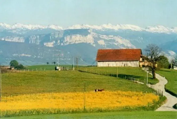 Studio with Mountain View in Gîte La Grange Du Haut Studio with Mountain View in Gîte La Grange Du Haut