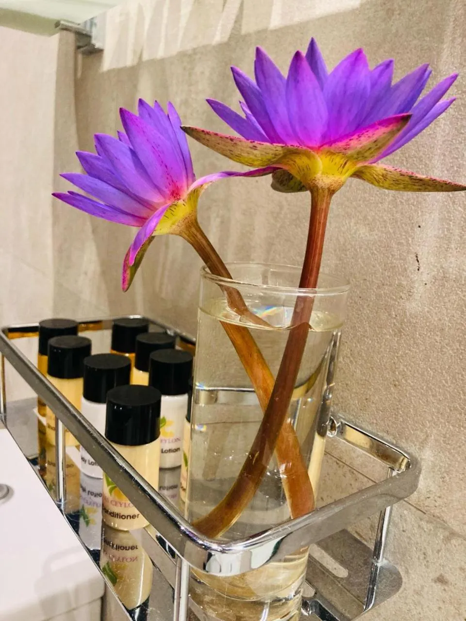 Bathroom in Rangiri Dambulla Resort