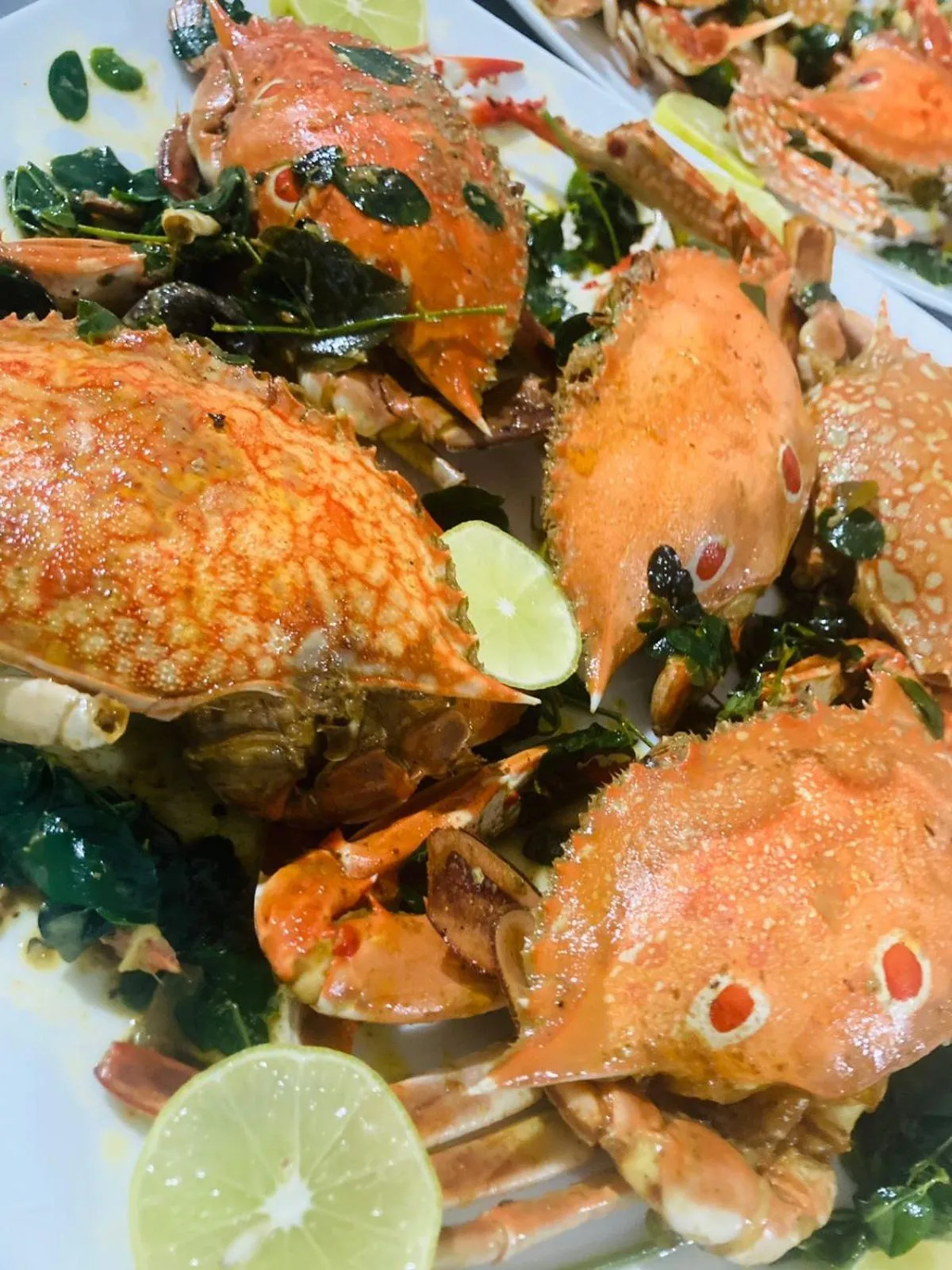 Rangiri Dambulla Resort