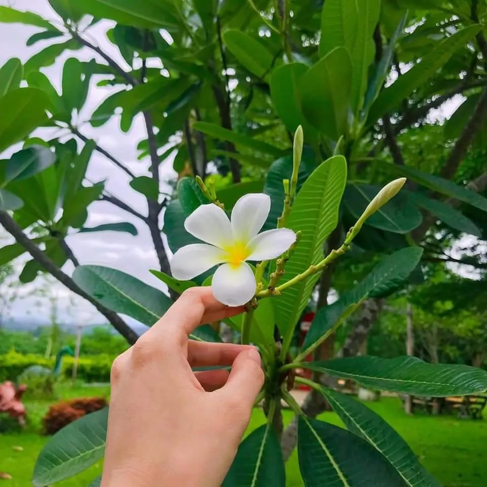 Mon Kiang-Dao Resort