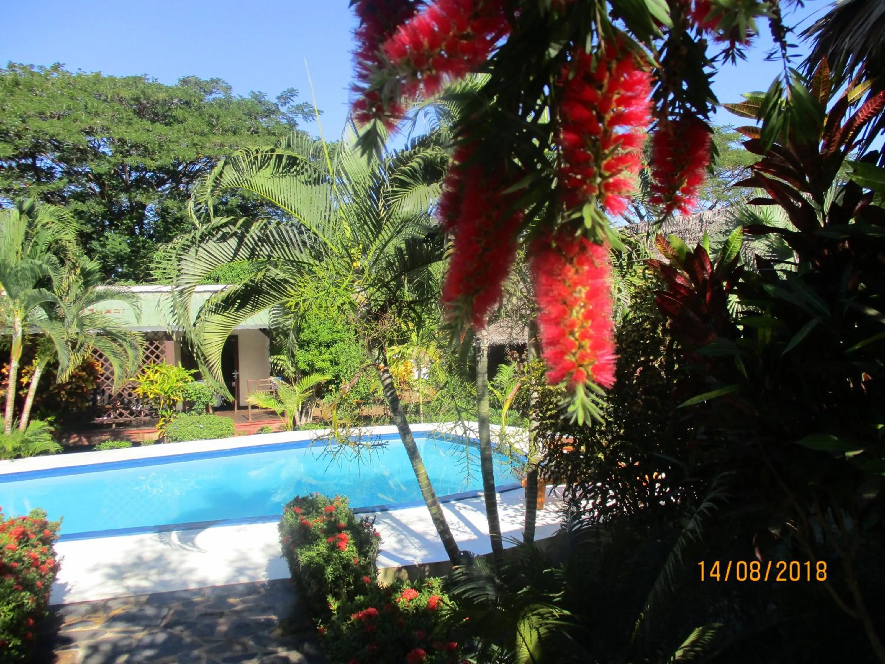 Swimming pool in Tropic Hôtel