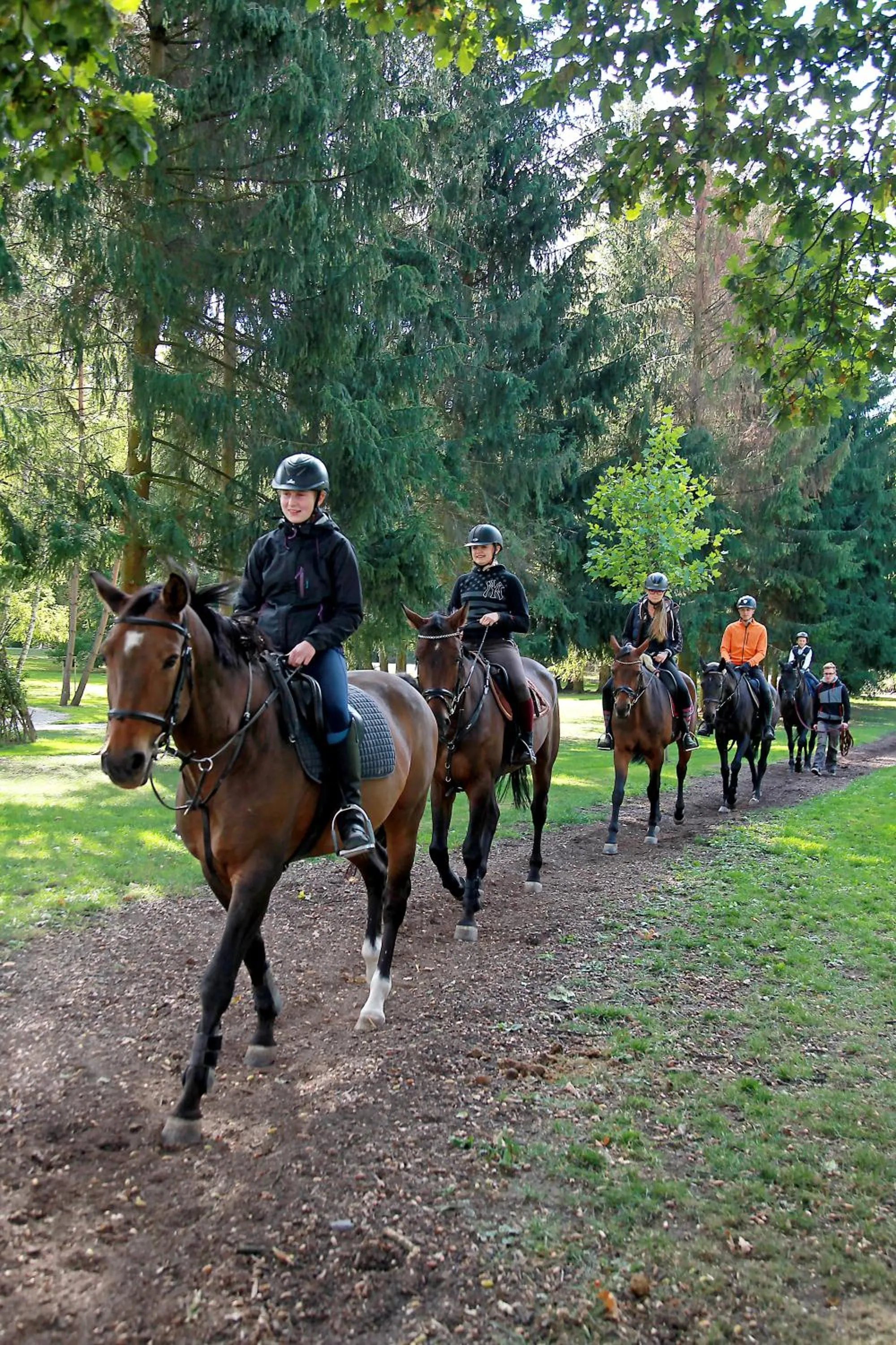 Horse-riding in Penzion Dobré Časy