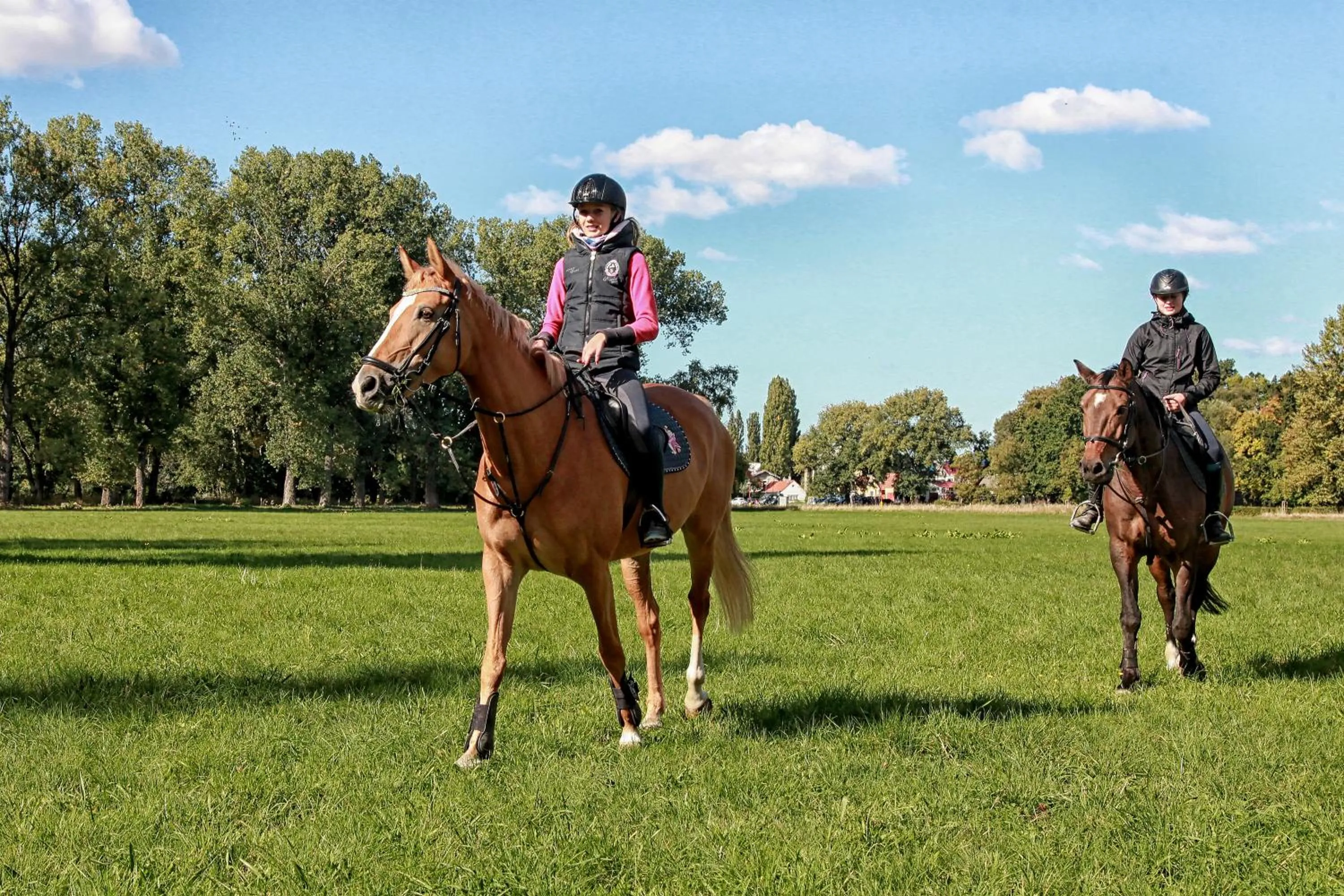 Horse-riding in Penzion Dobré Časy