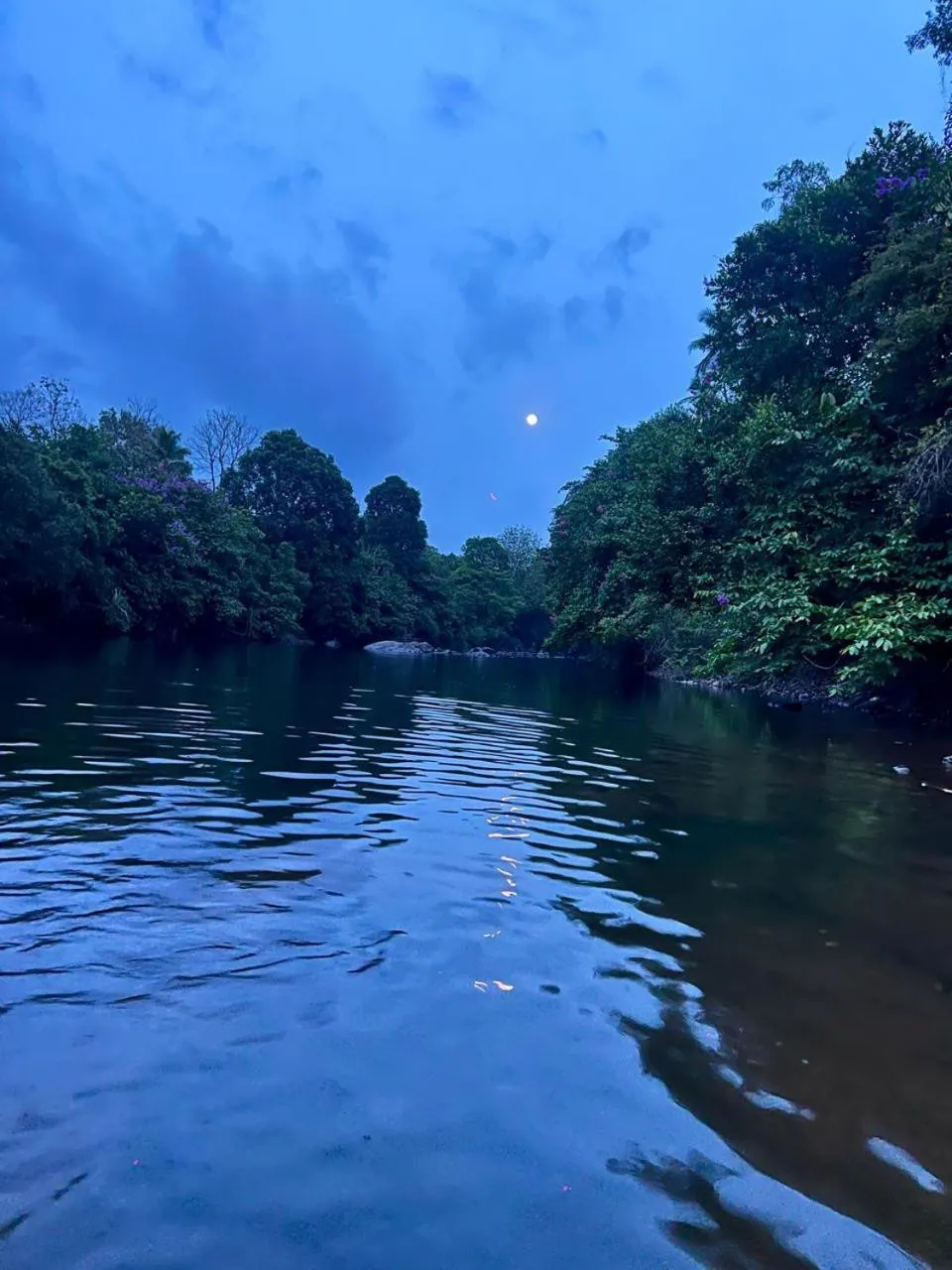 Leo Comforts river view Resort